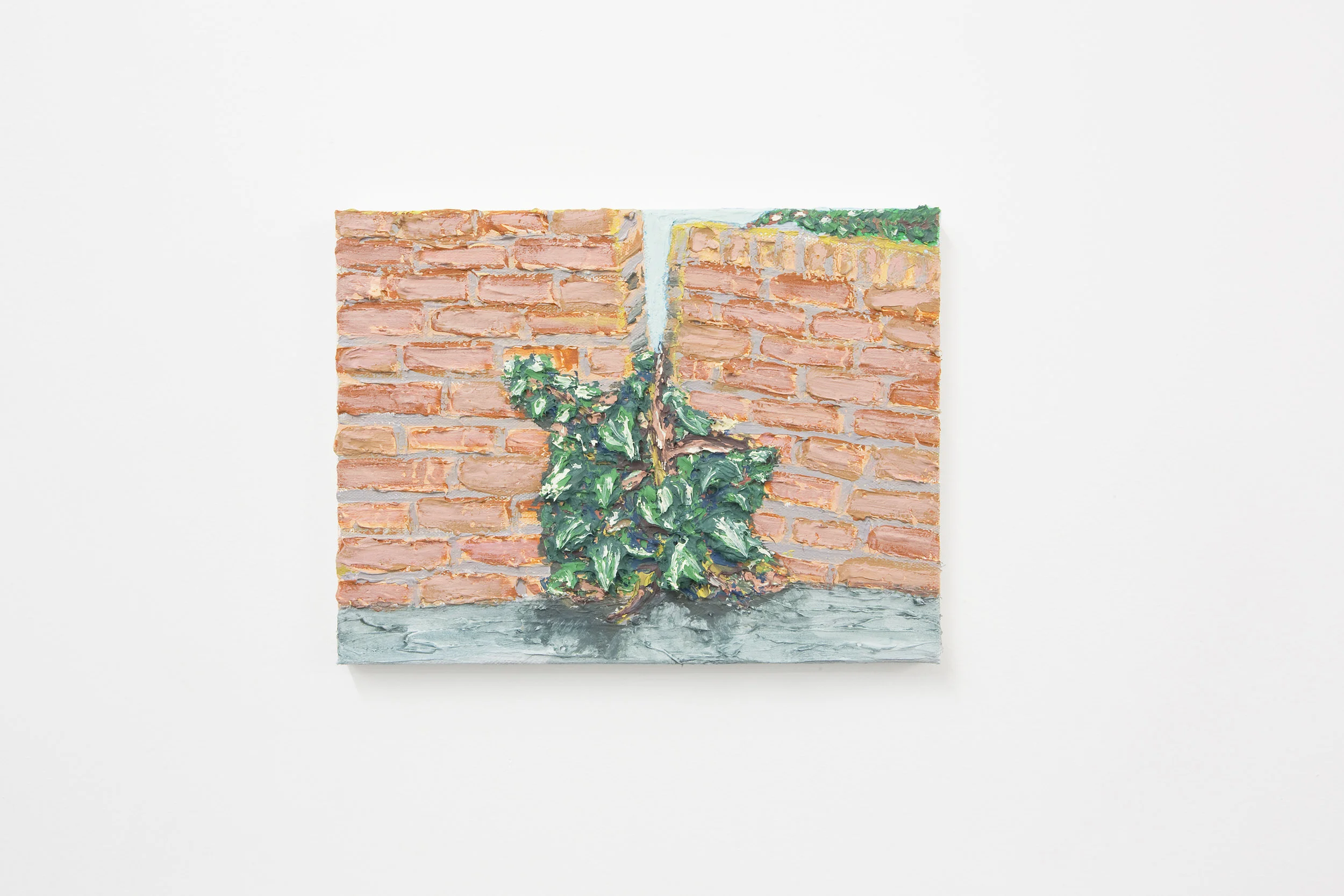 DeliGallery_AlexNguyen_VinesThroughaSplitWall2.jpg