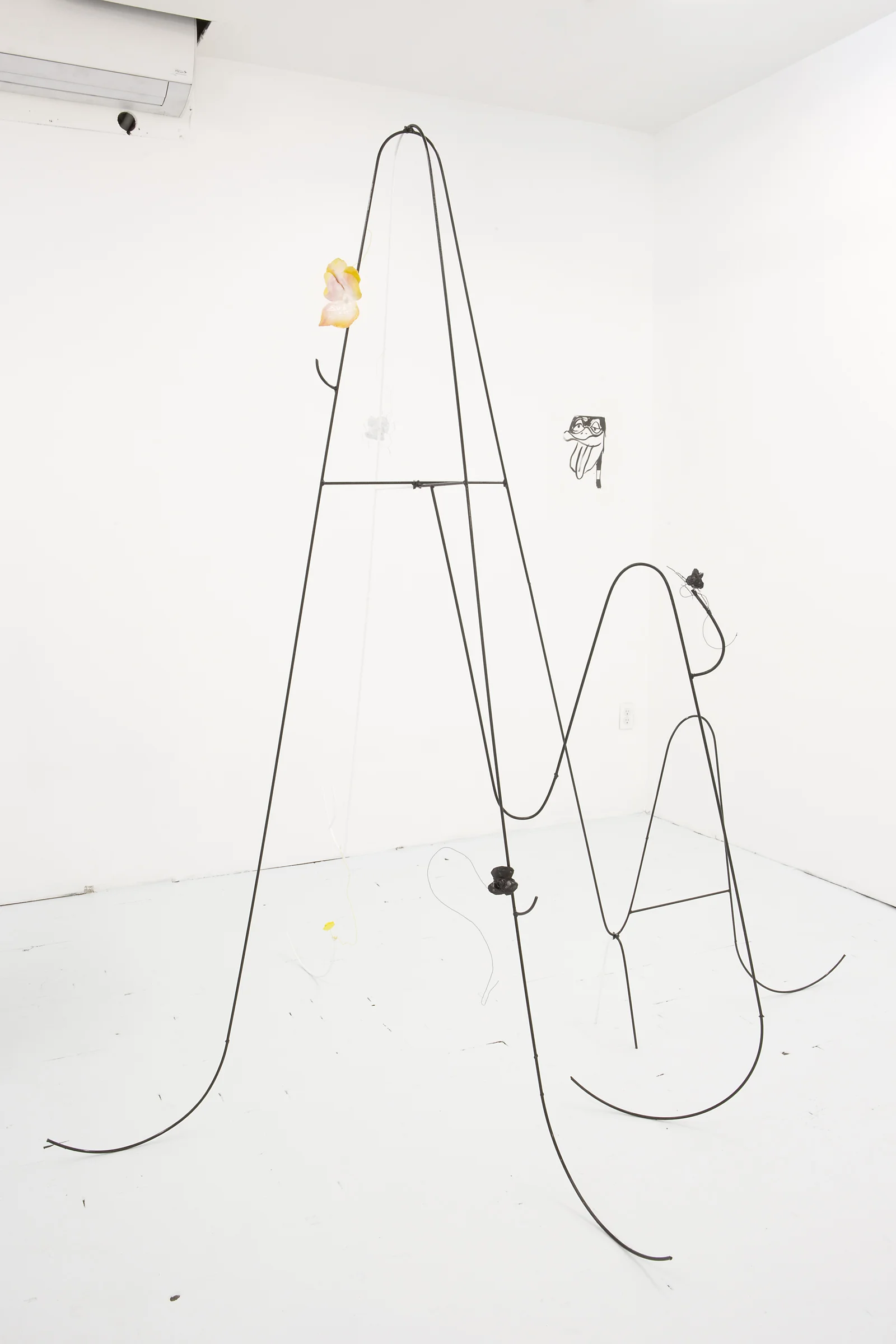 DeliGallery_LexBrown_ImmortalDuck_15.jpg