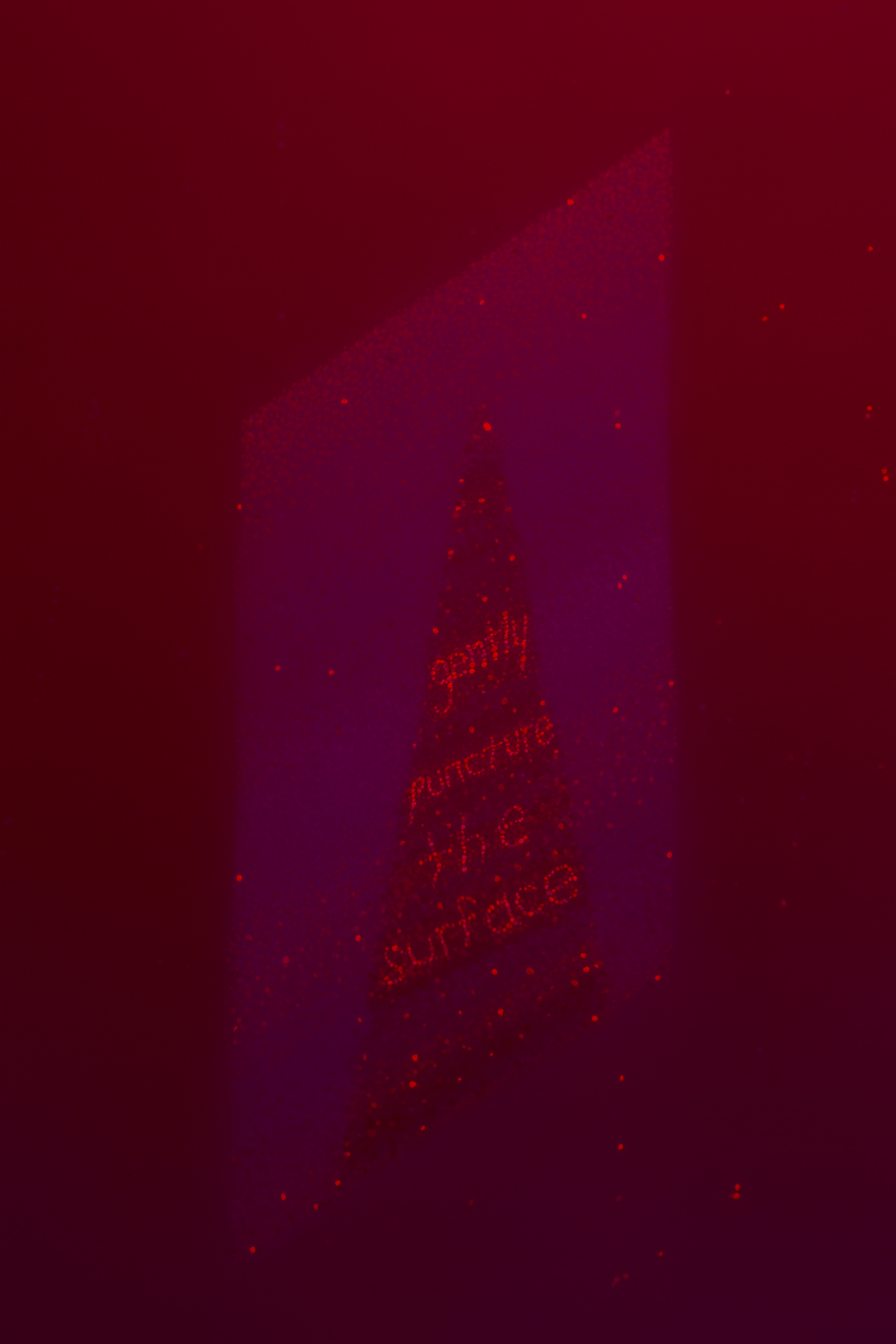 DeliGallery_DanaLok_HowtoGatherInformation_Blue_detail_screen.jpg