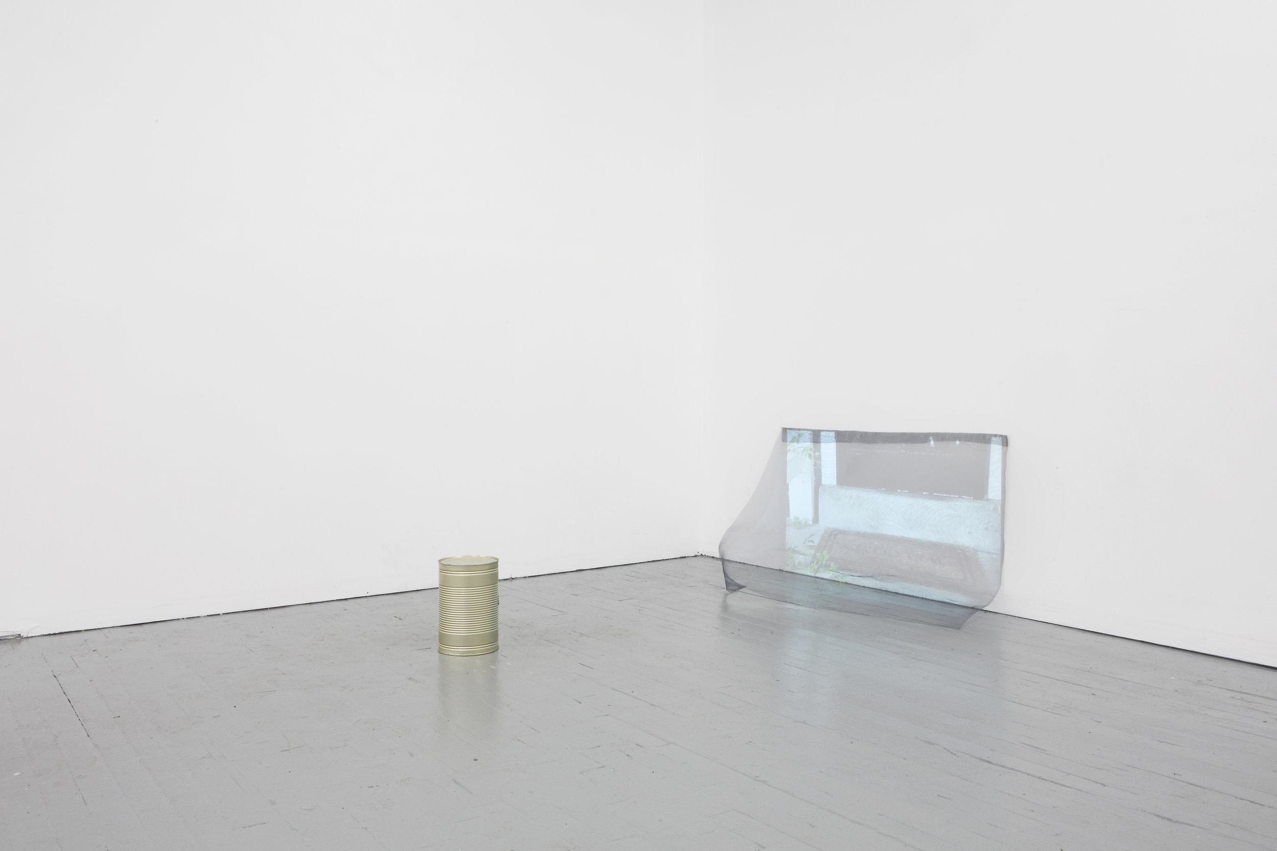 DeliGallery_LeahMoskowitz_thedeathofFlowers2.jpg