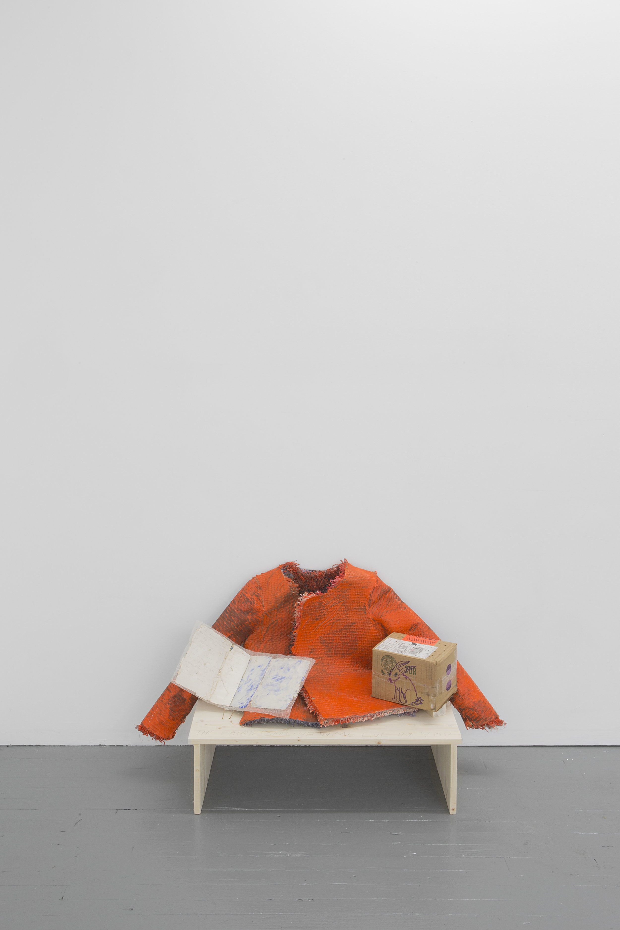 DeliGallery_BrookHsu_PanicAngel_InstallationView53.jpg