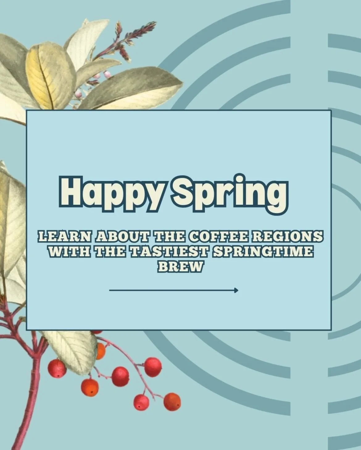 Curious which regions offer the best springtime brew? Learn about our favorites here, and stay tuned for new arrivals soon.