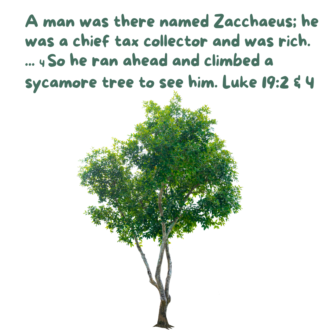 Readings for the Week of January 25