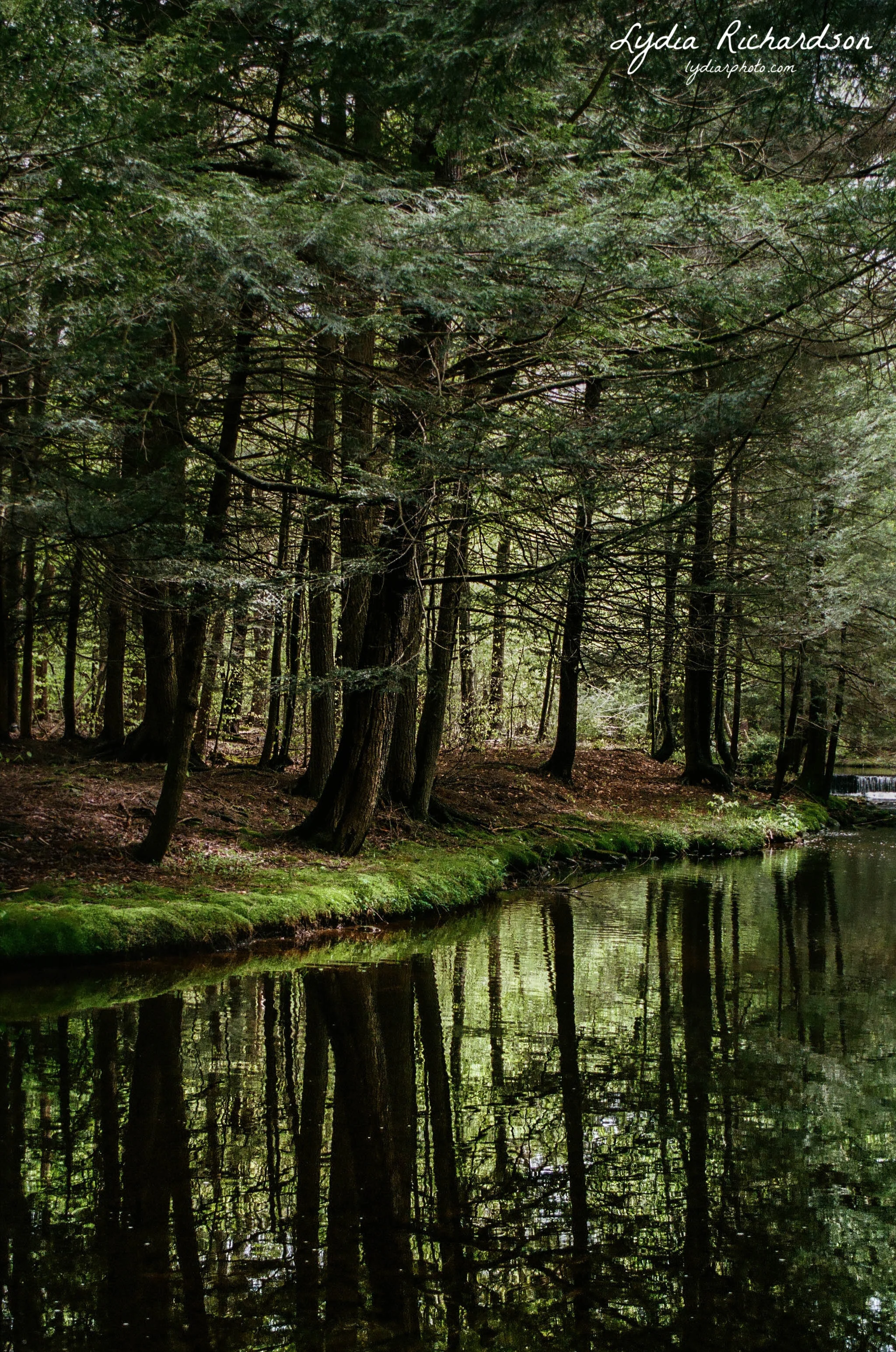 000367470009 copy.JPG