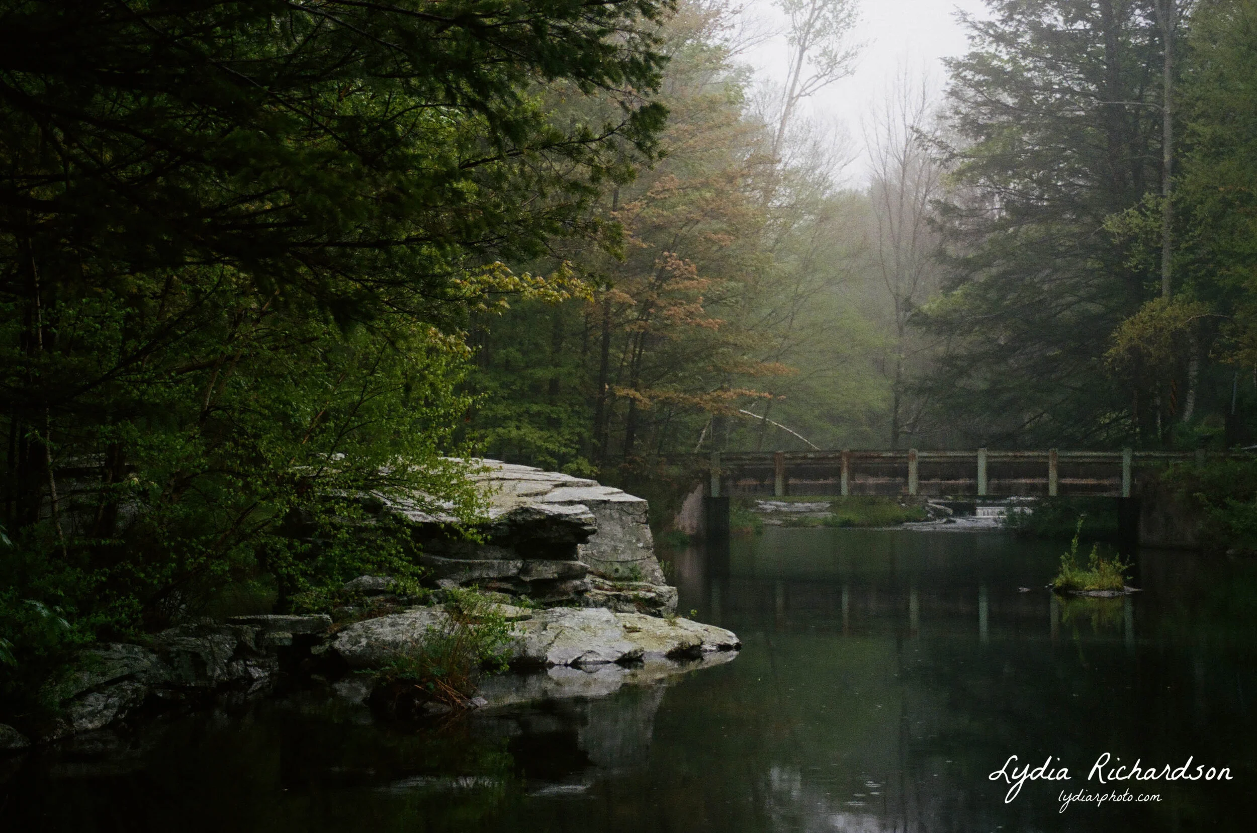 000367520007 copy.JPG