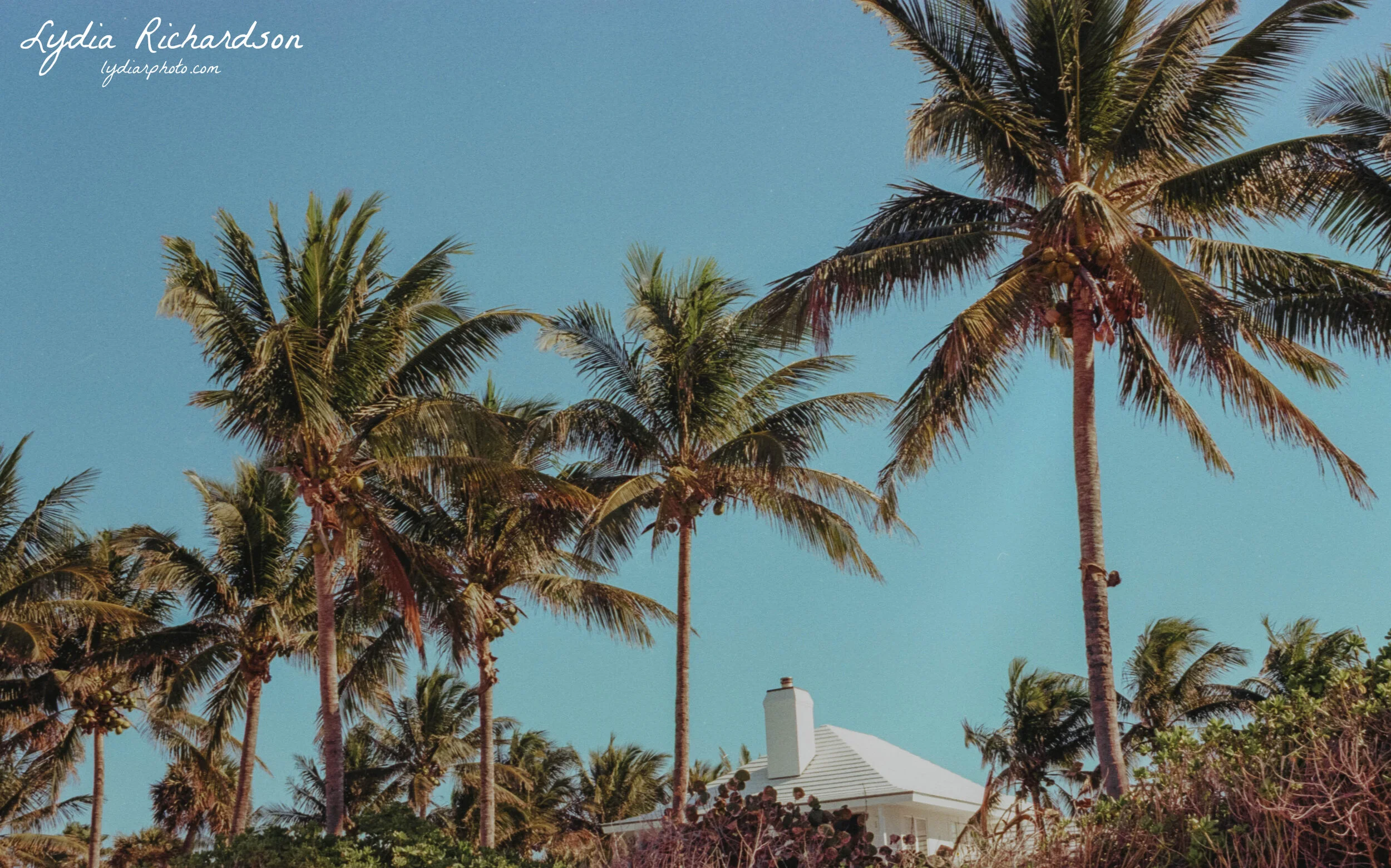 img20210126_12470536 copy.JPG