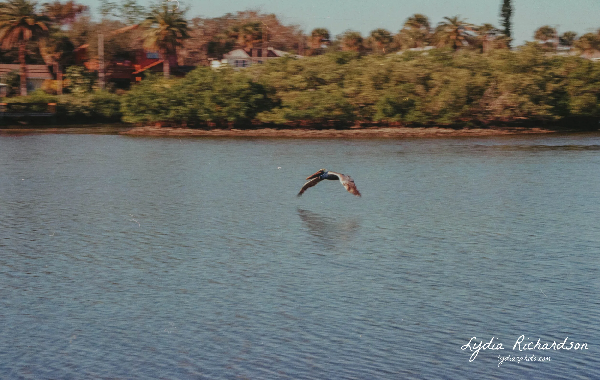 img20210126_17134498 copy.JPG