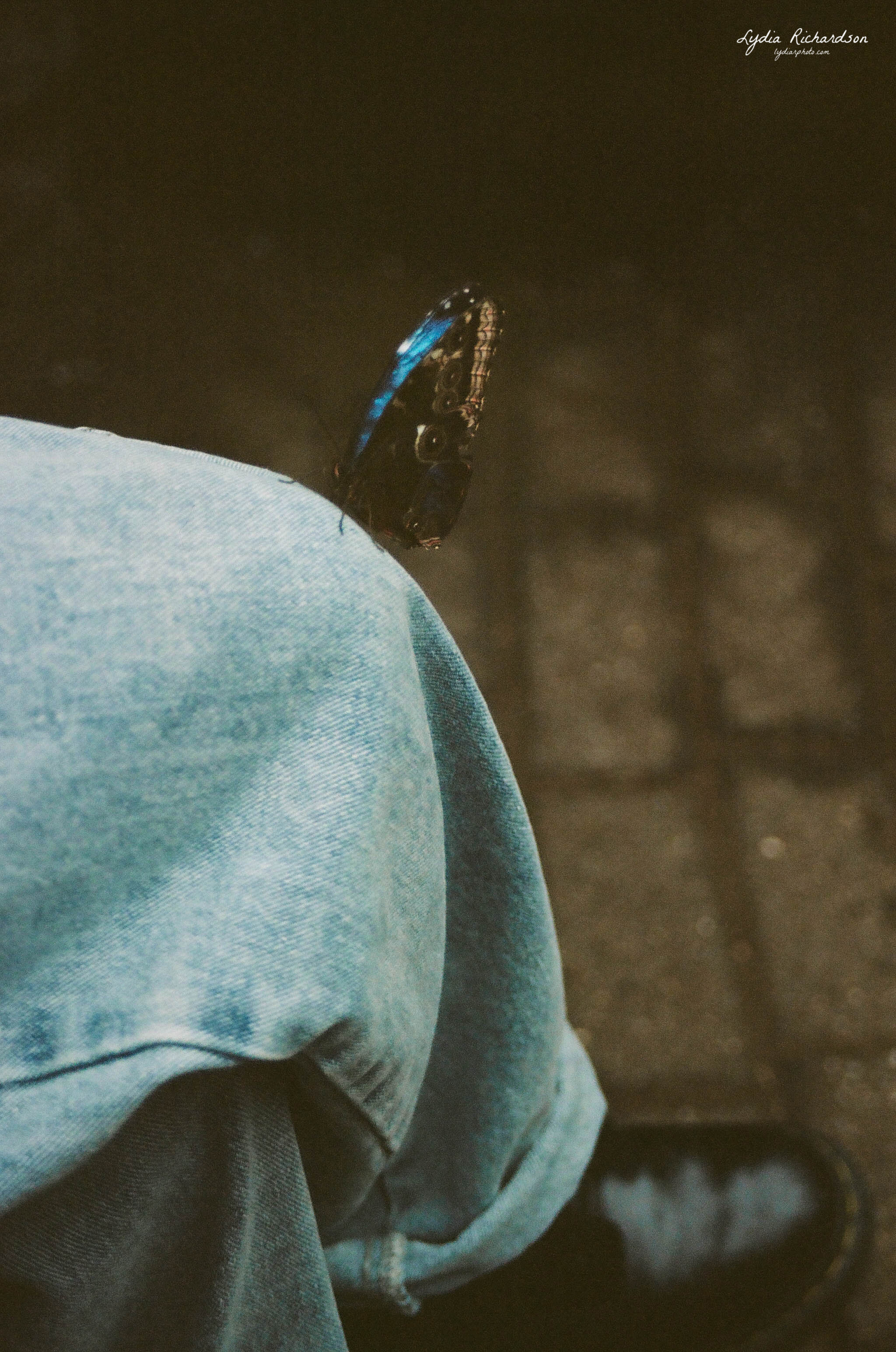 000234500030 copy.JPG