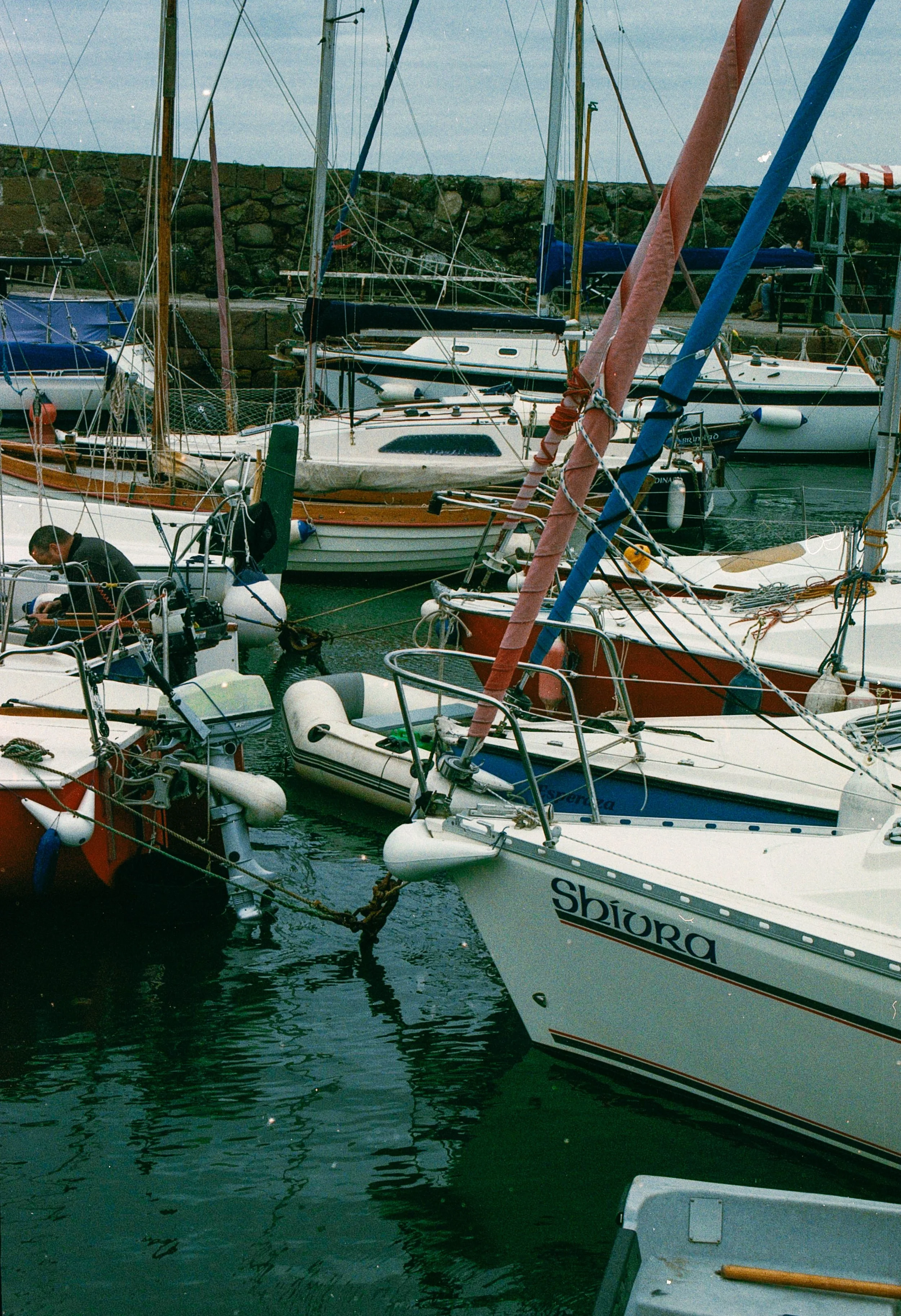 Image 1  17 35 62 copy.JPG