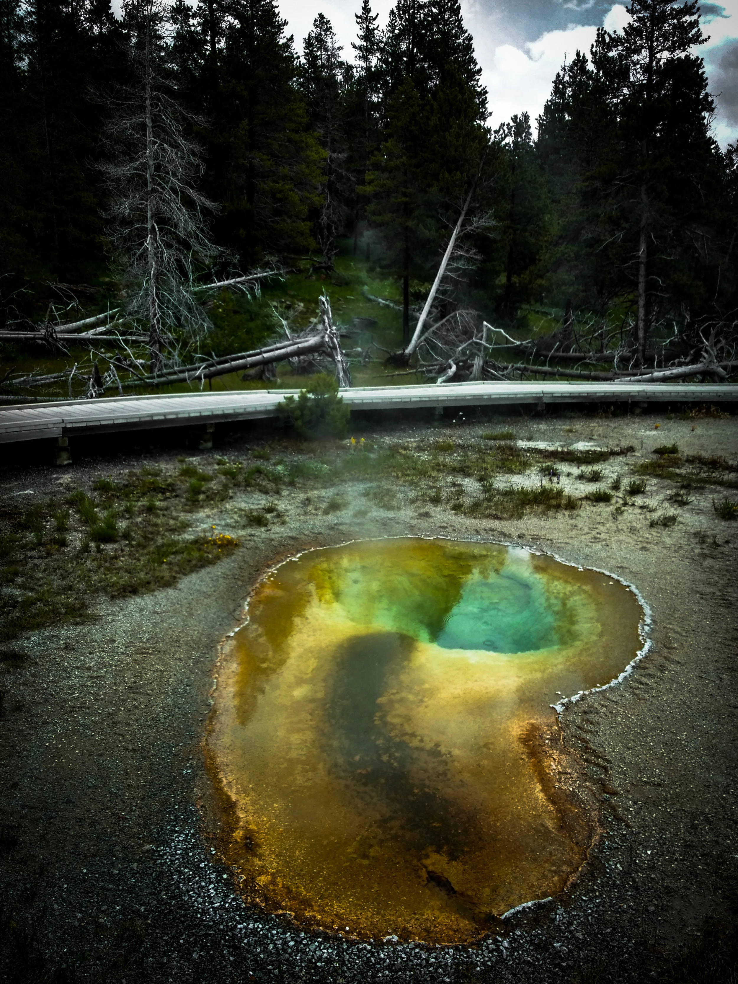 Yellowstone National Park, Wyoming