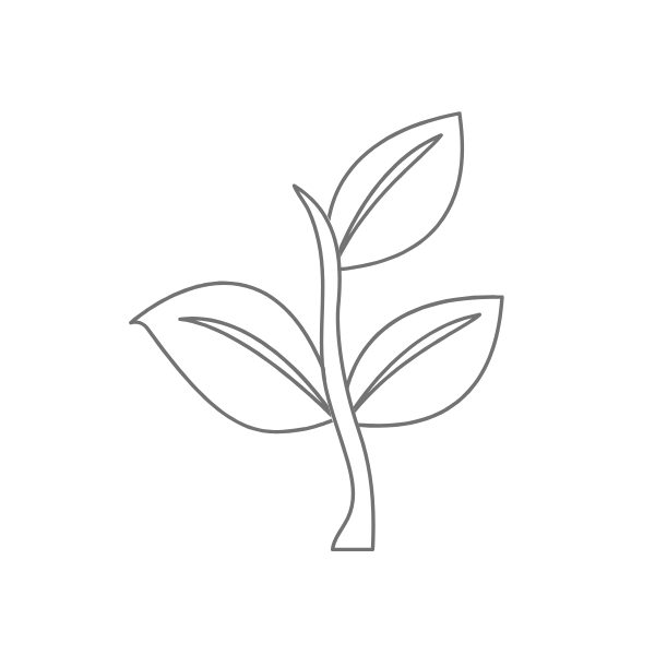 Tree.png