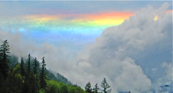 (Photo: Mike Elam/USFWS) Quilcene Fish Hatchery, WA