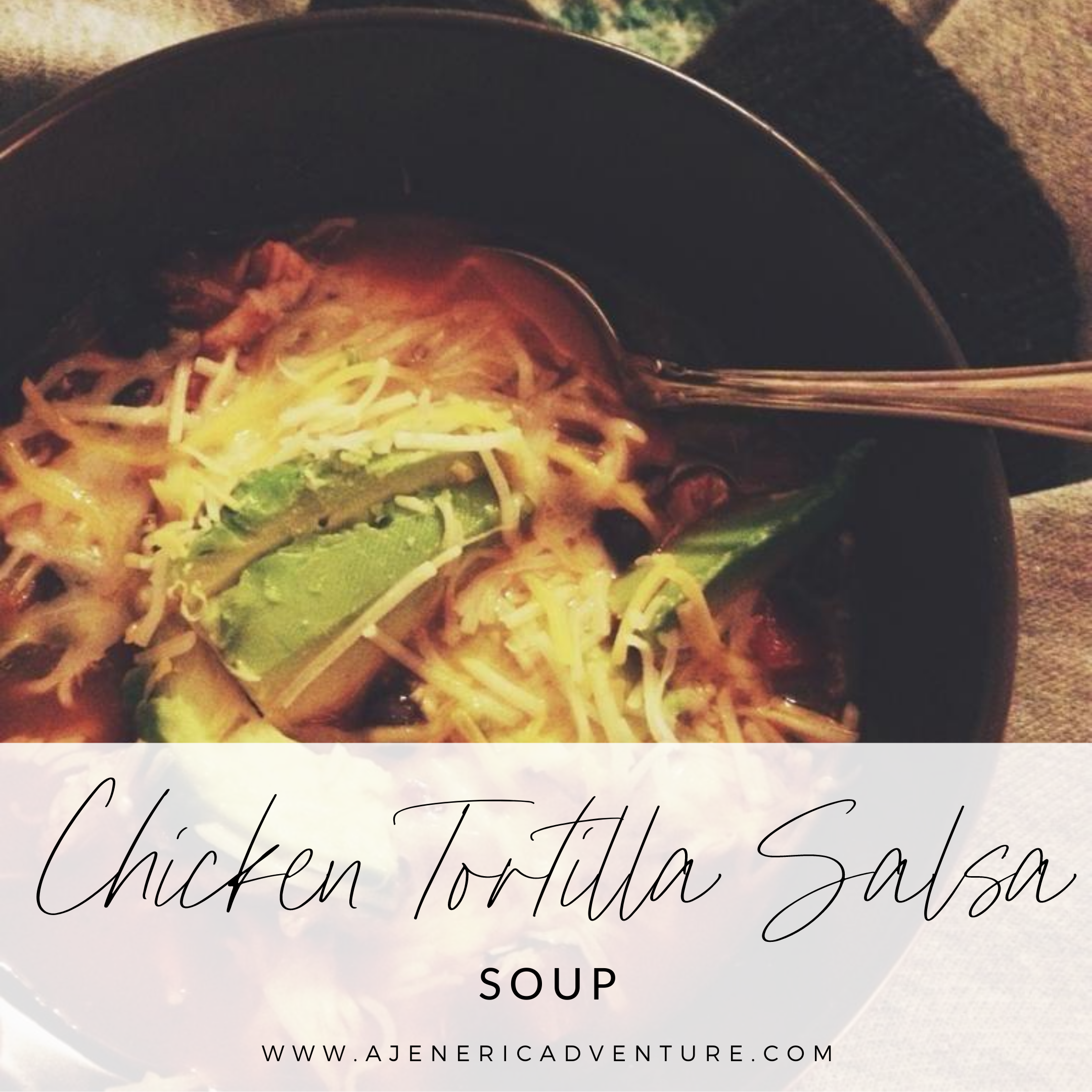 Chicken Tortilla Salsa Soup