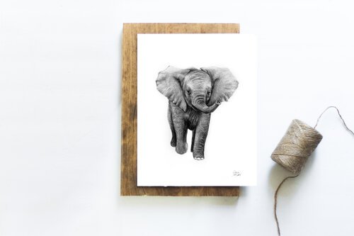 elephantprint.jpeg