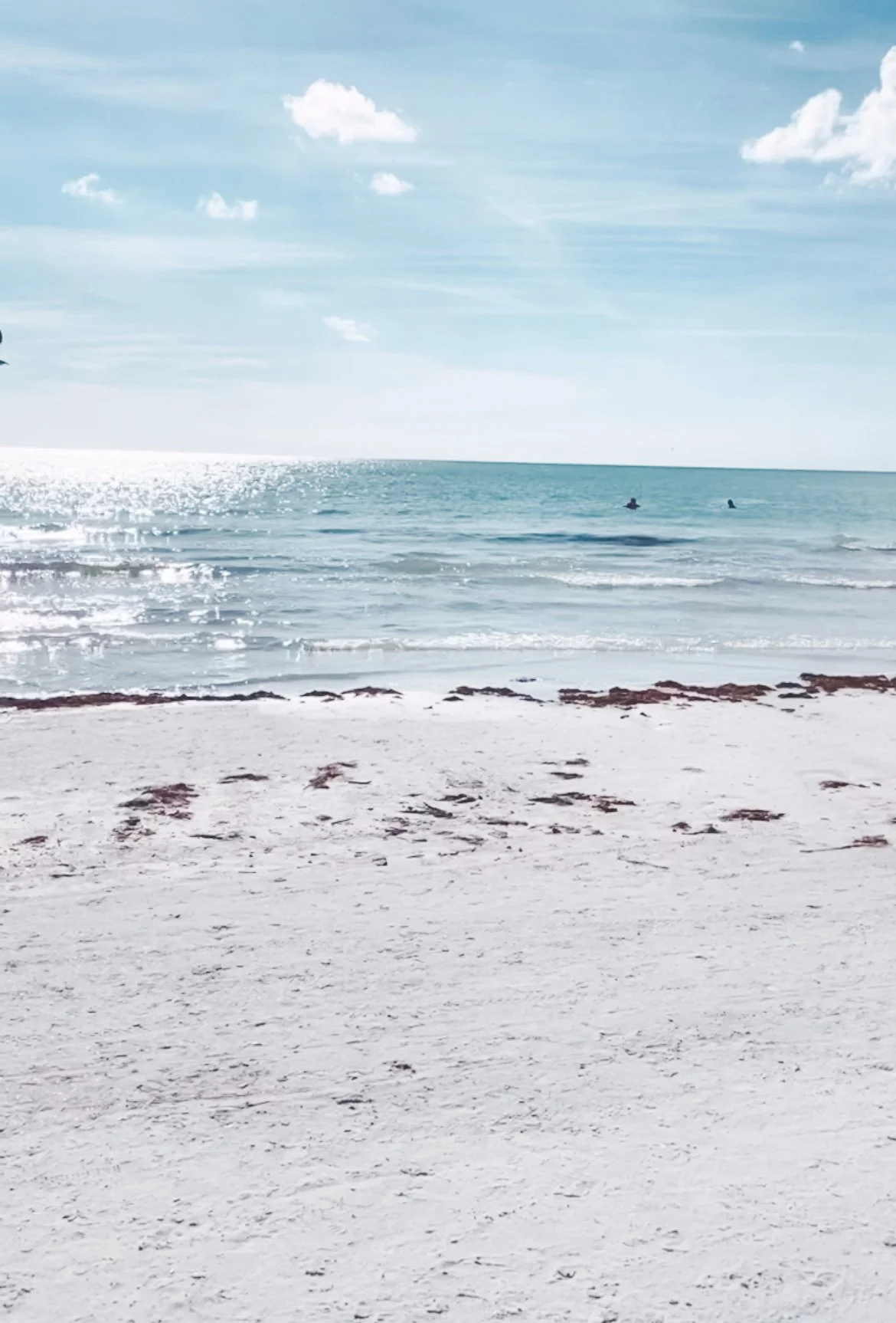 A Weekend in Sarasota and Siesta Key