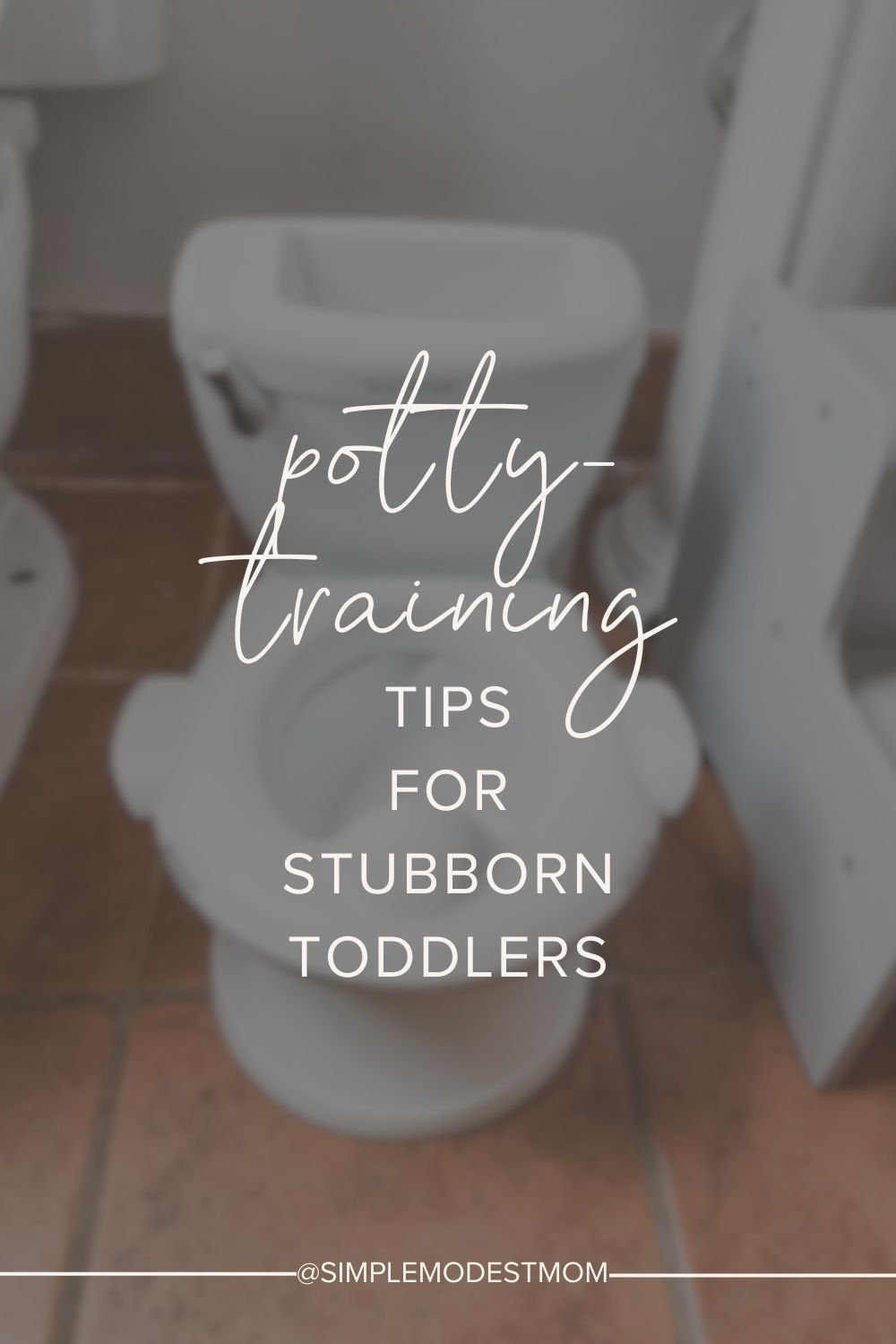 Potty Training Tips for Stubborn Toddlers.jpg