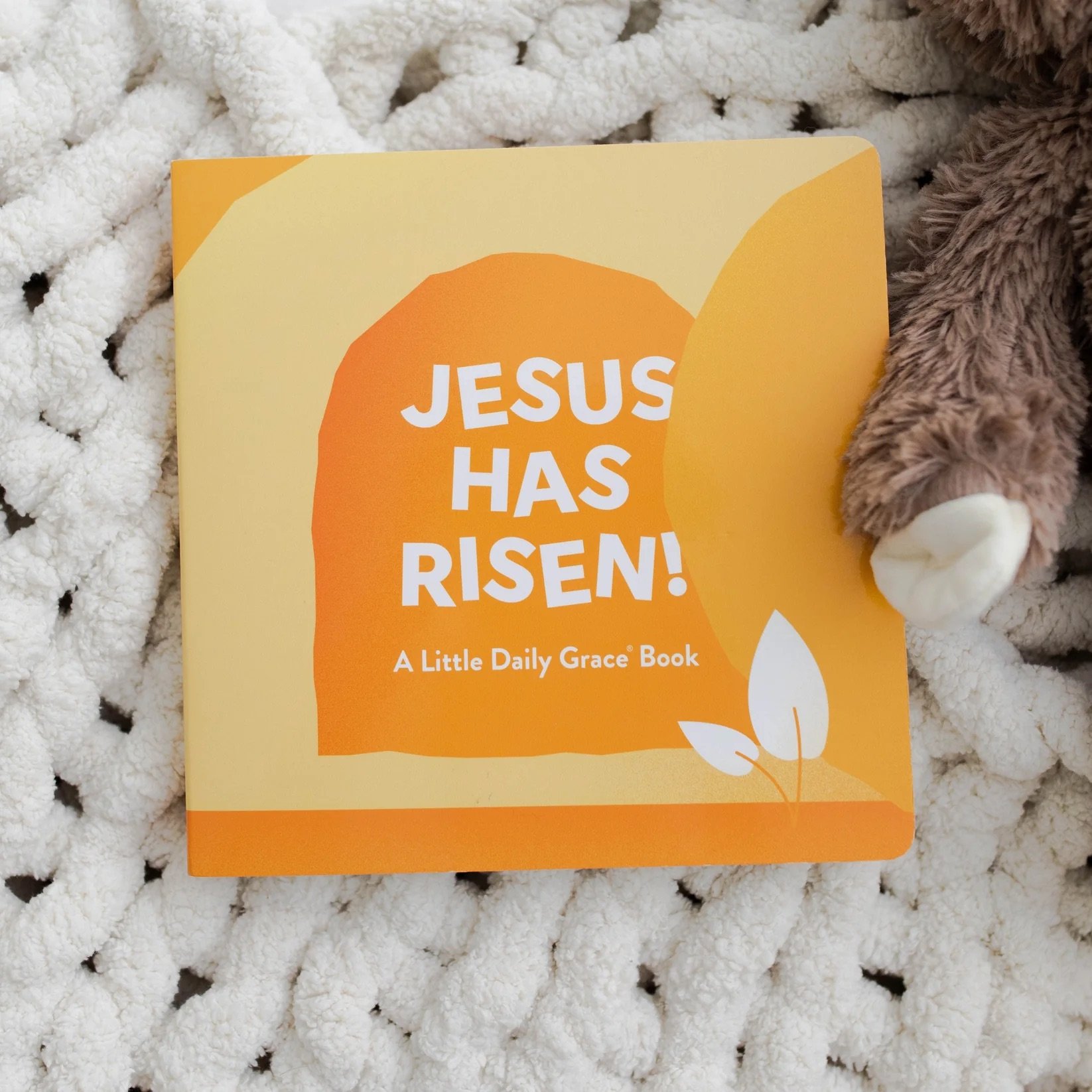 Daily Grace Jesus Has Risen Board Book.jpeg