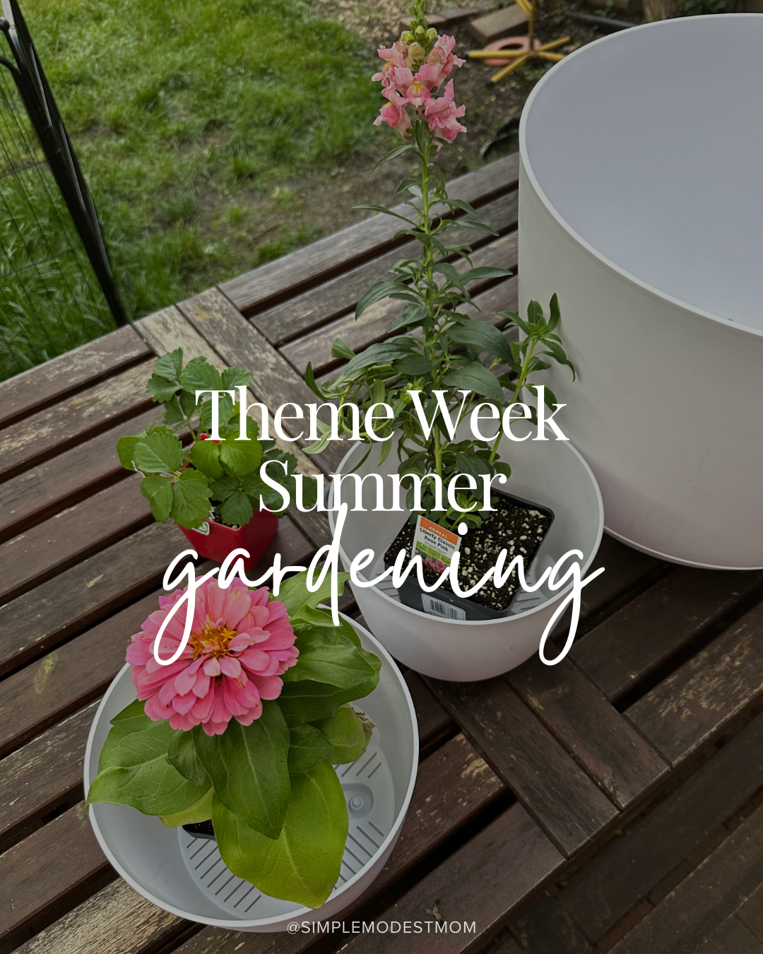 Theme Week Summer: Simple Weekly Ideas for Kids at Home | Simple Modest Mom