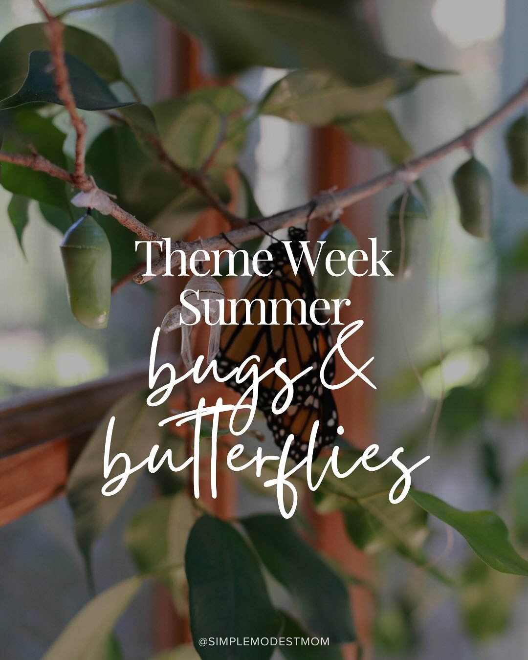 We kept things super simple for our Bugs &amp; Butterflies theme 🐛🦋 but had such a fun time exploring nature together!

We kicked off the week with a bug vacuum &amp; collector kit that kept my kids busy collecting creepy crawlies in the backyard a