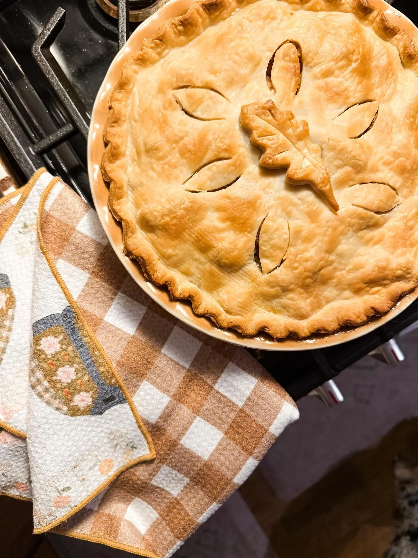 i had a craving for some homemade apple pie today, and actually made it happen&hellip; and it turned out more beautiful than i had hoped 😍😌 

called up my mom for her recipe (she has it memorized) - she makes her own crust and it&rsquo;s the most a