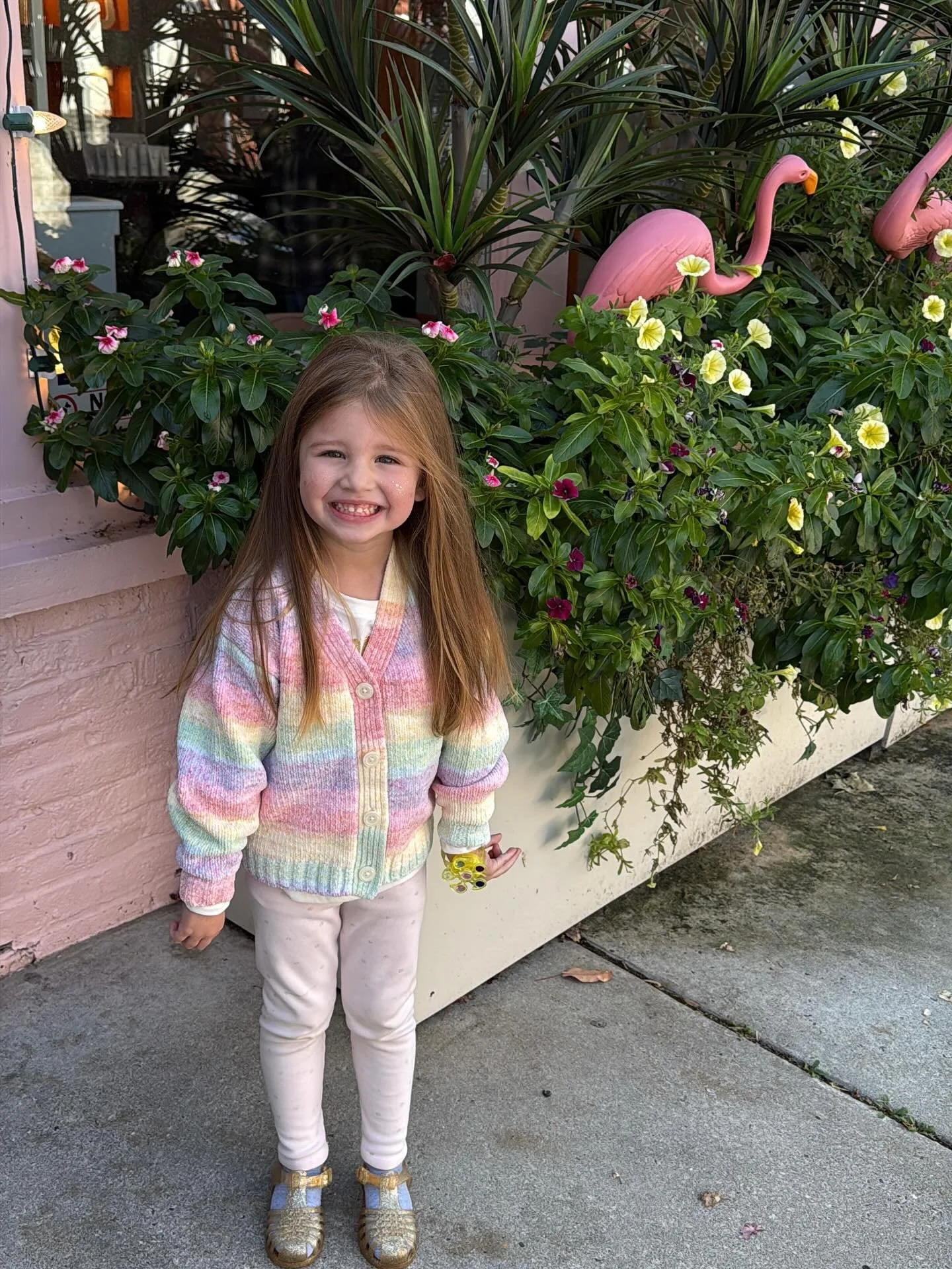 It was maybe a year ago that I asked Ainsley if she wanted to go get her haircut and she was too scared. She wouldn&rsquo;t even sit in a chair for an Elsa braid when offered by a stylist when her brother would get his hair cut. But recently she has 