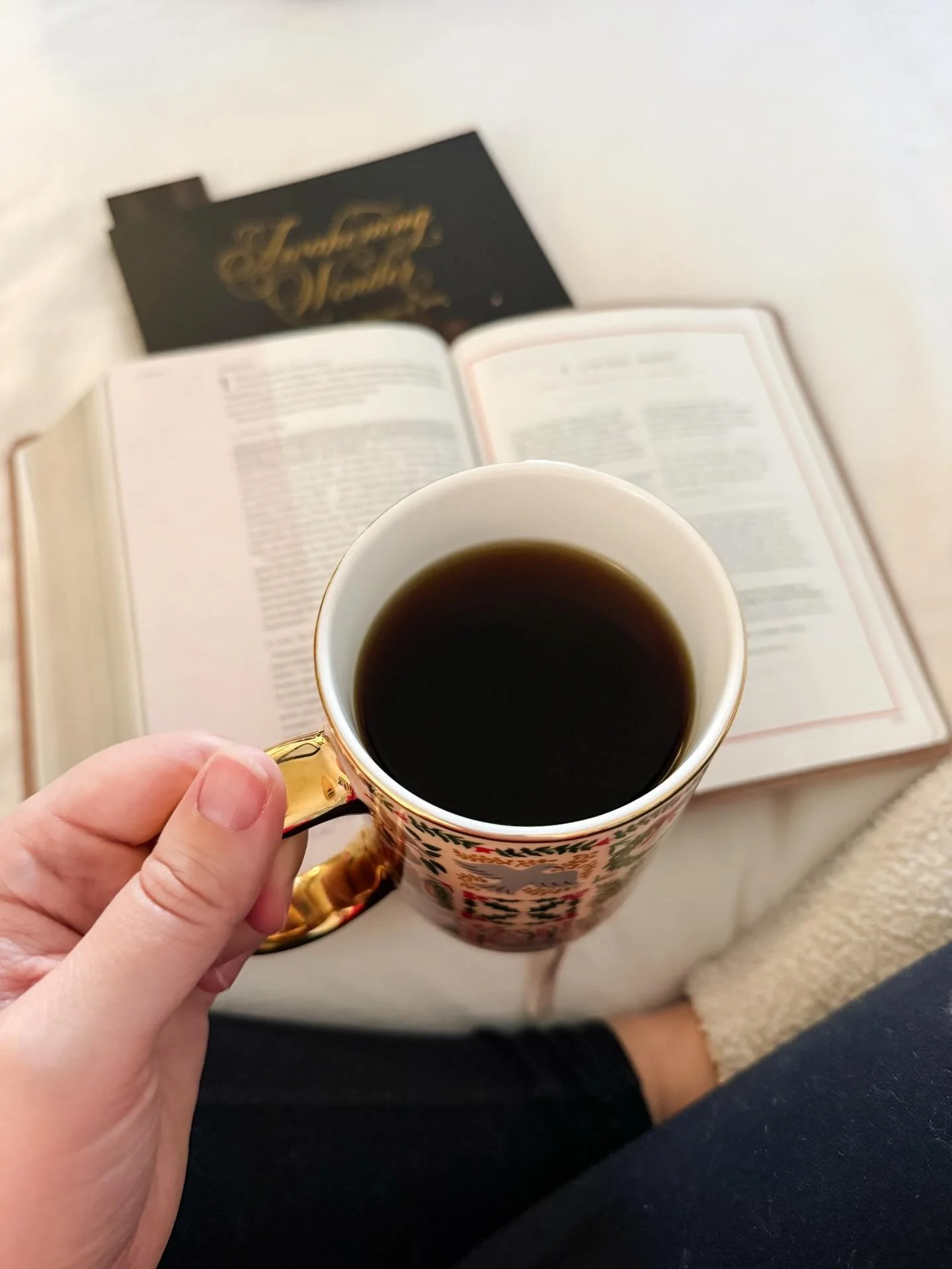 i had a hard day yesterday. a bad attitude around every corner kind of day. i took a nap after church and the bad attitude persisted even after i woke up. i went out to do some holiday shopping and thought it cleared away, and it returned as soon as 