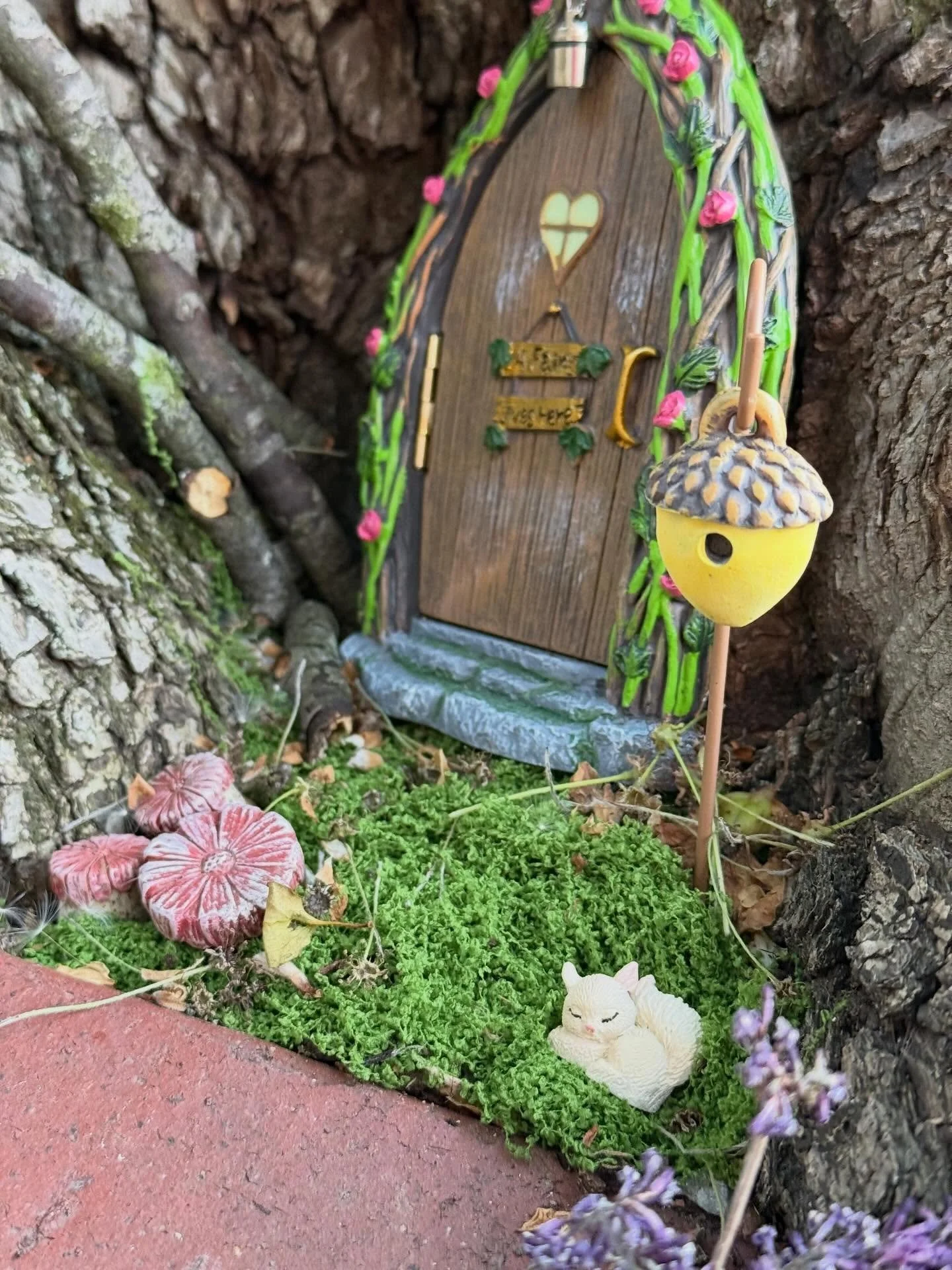 This little spot in our front tree was just begging for a little magic ✨

One night after the kids went to bed, I added a tiny fairy door&hellip; and now I&rsquo;ve fully committed. I&rsquo;ve been sneaking out to add little surprises here and there 