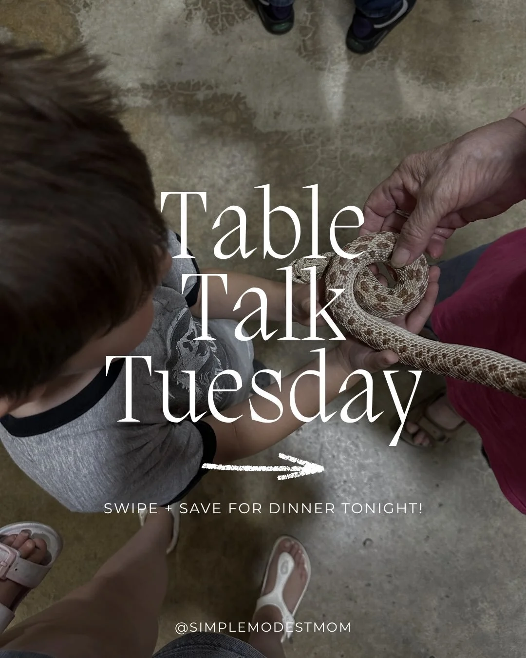 This week&rsquo;s Table Talk Tuesday is all about courage + trying new things 🤍

I love this one because it helps kids talk about the things that feel exciting, hard, or even a little scary &mdash; and reminds them they don&rsquo;t have to face thos
