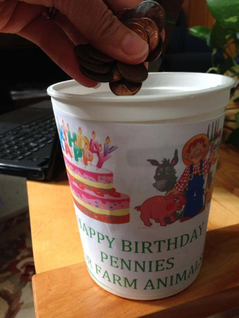  Birthday Pennies for Farm Animals