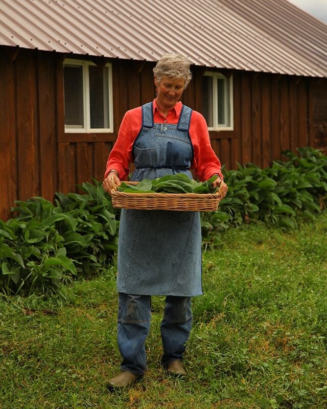 Summer is here and our comfrey crop is going strong! Comfrey is the powerhouse ingredient in every single one of our products. Comfrey is an herb that has been used for millennia to help heal and soothe injuries if all sorts; it is often referred to 