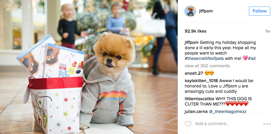 Pomeranian Jiffpom partners with The Secret Life of Pets Holiday Influencer Campaign