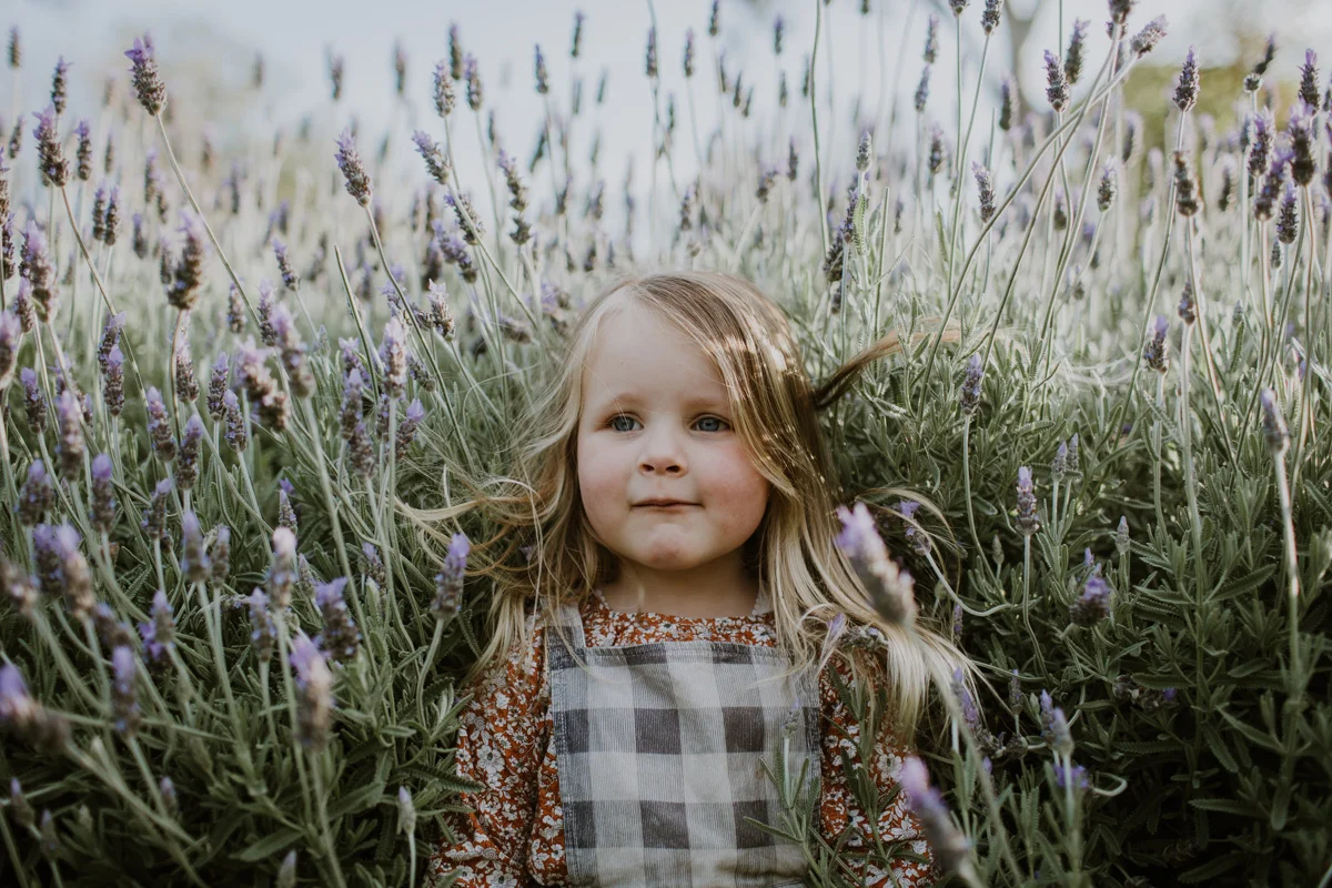 evie-3.jpg