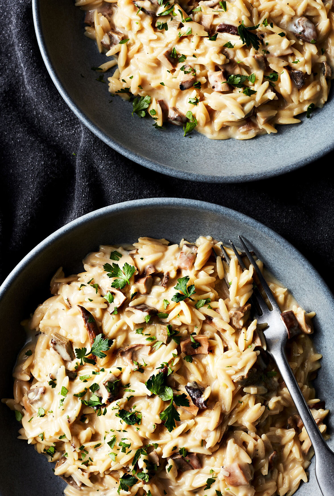 Ayesha-curry-cookbook-full-plate-Eva-kolenko-recipe-wild-Mushroom-Orzo-5441.jpg