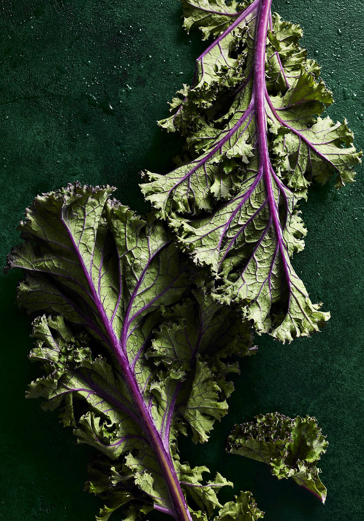 greens-cook-book-recipe-intuitive-eating-diet-kale-junkie-heath-wellness-food-photographer-kolenko.jpg