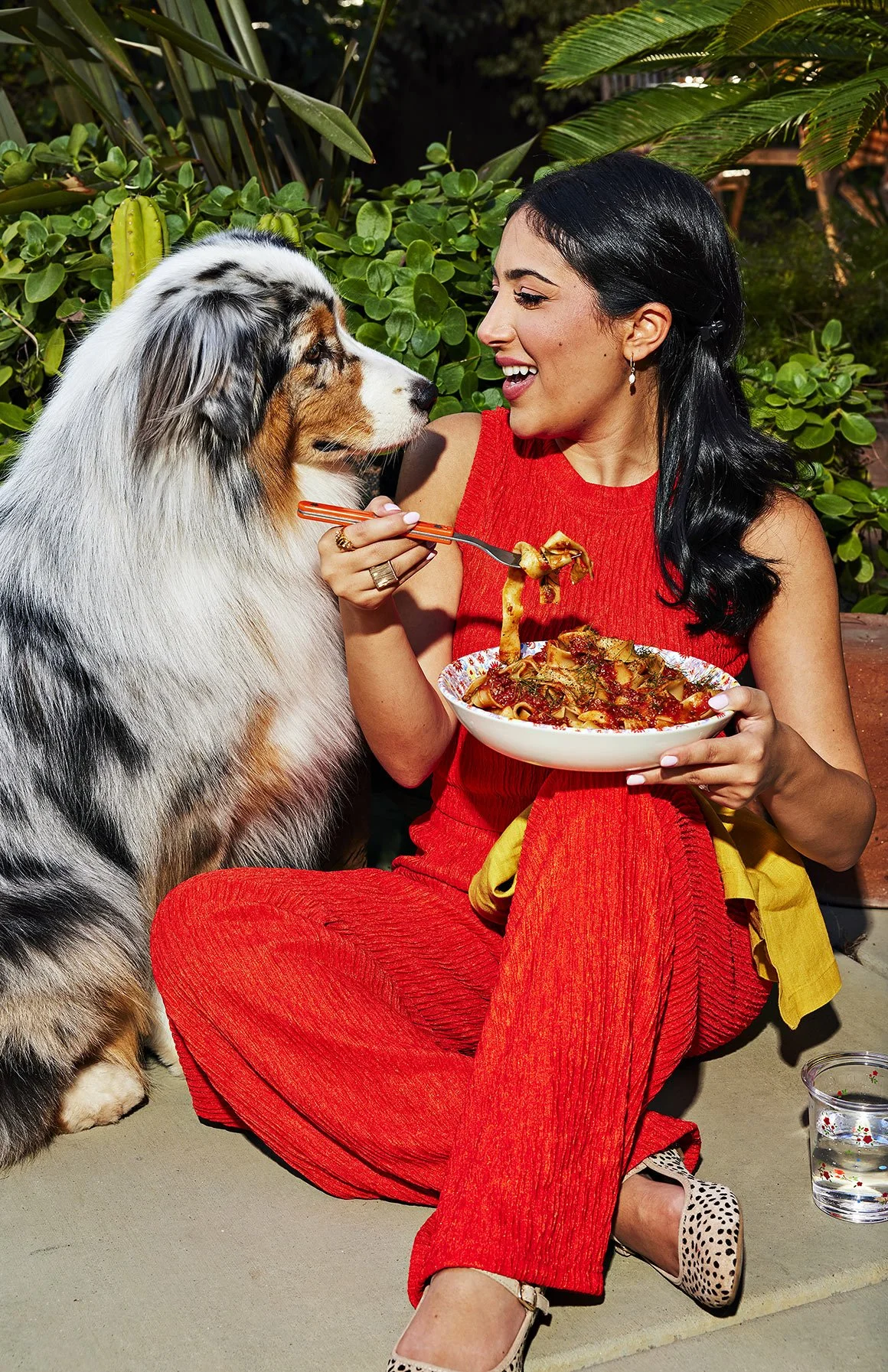 driend-pasta-food-advertising-cute-dog.jpg