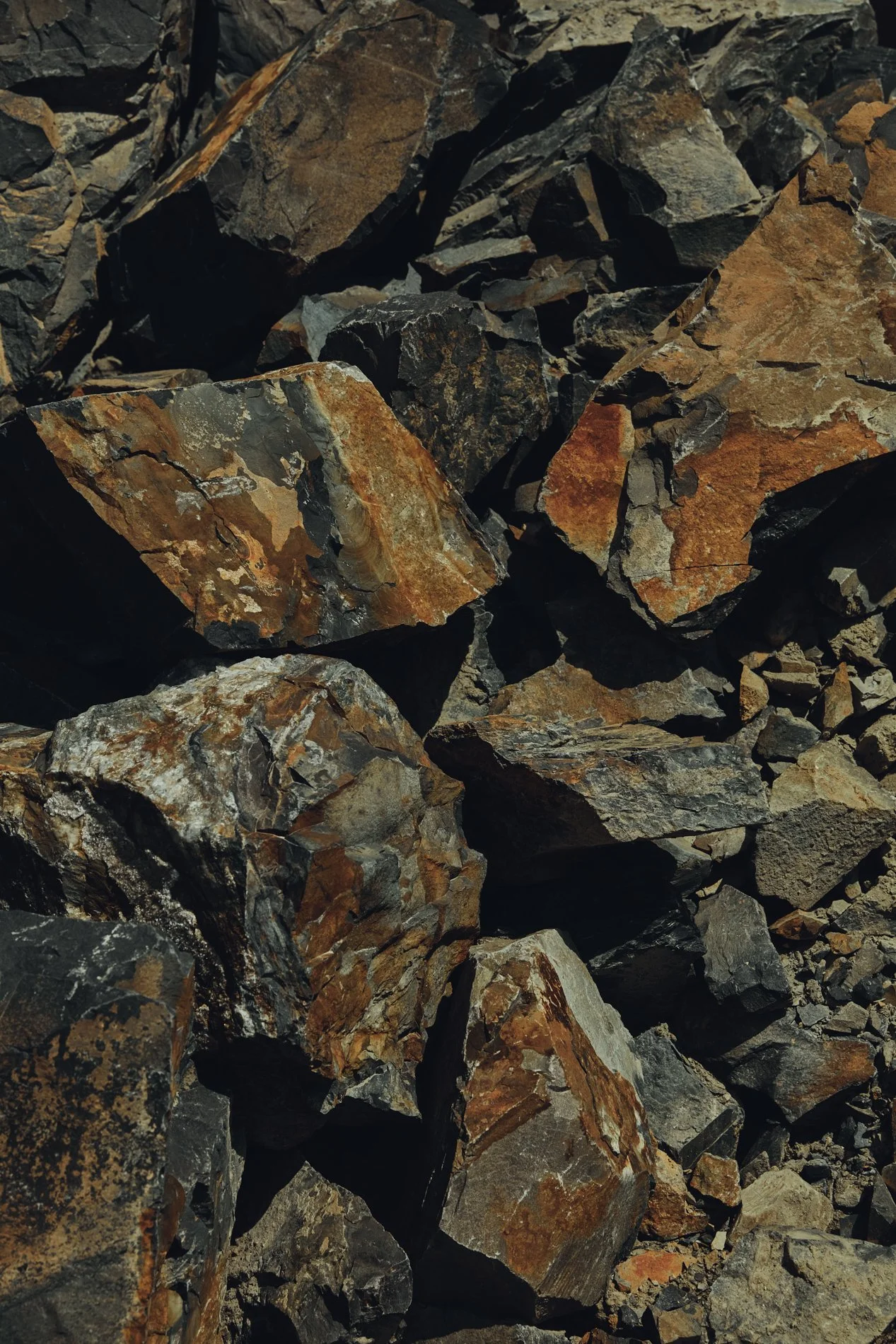 JOHNSTONE-0317_V1.jpg