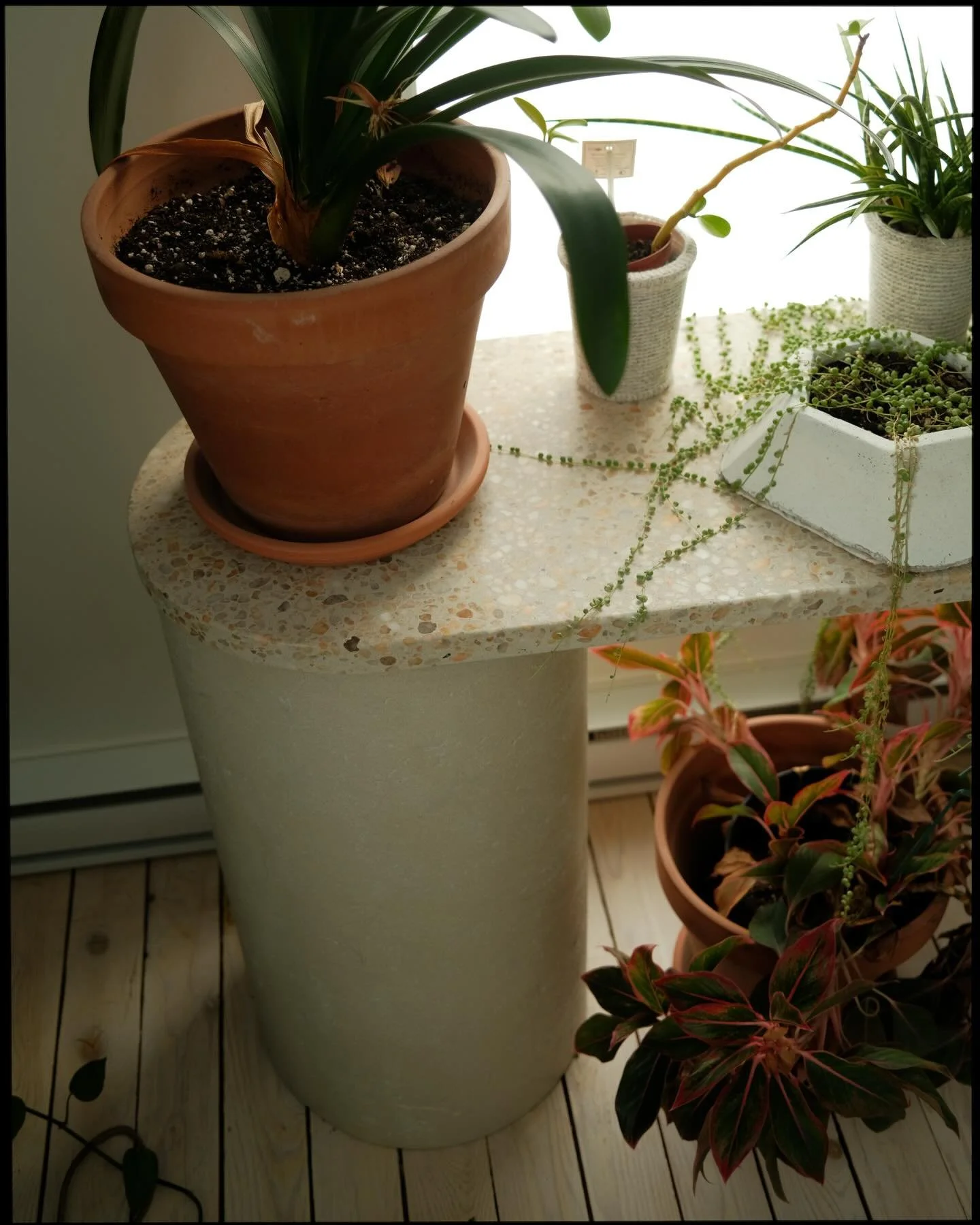 Notre table FOIL offre une surface impeccable et s&rsquo;int&egrave;gre avec naturel &agrave; votre d&eacute;cor.
Ses lignes courbes et affin&eacute;es, l&eacute;g&egrave;rement &eacute;lanc&eacute;es, en font une pi&egrave;ce id&eacute;ale pr&egrave