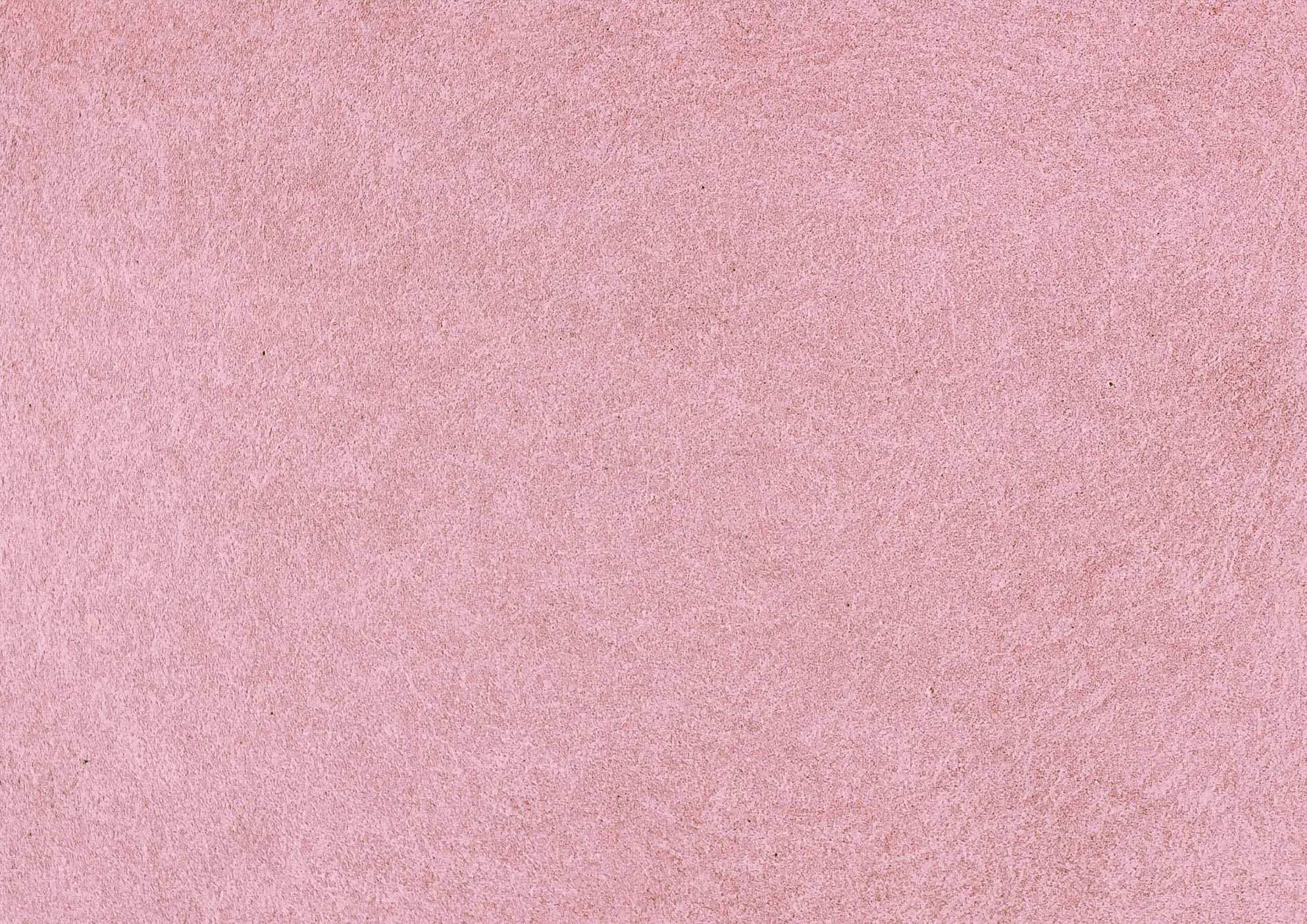 GeorgiaPink_Standard.jpg (Copy)