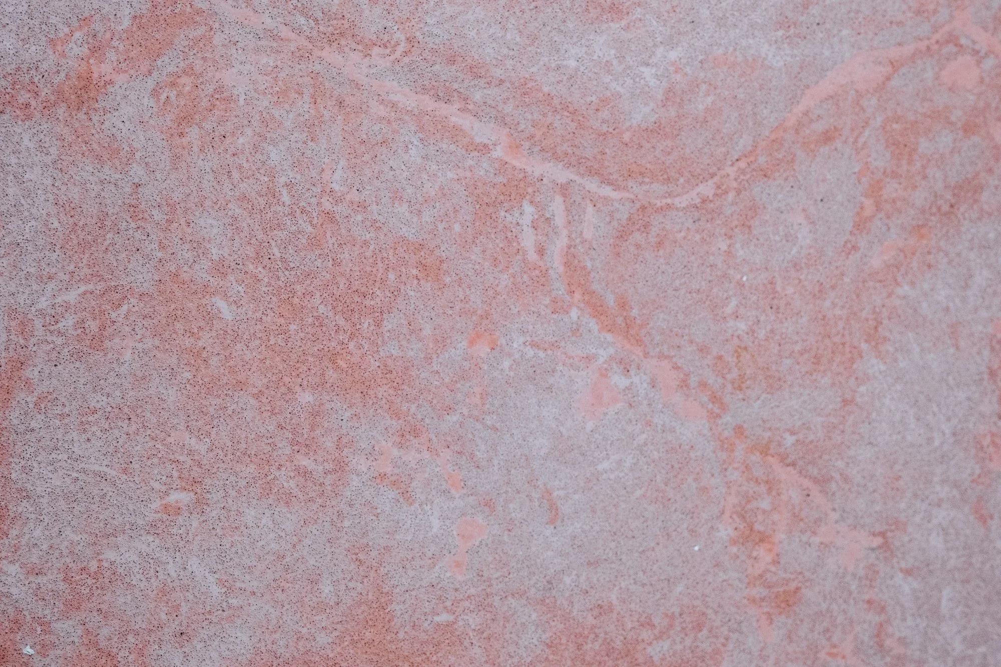 DSCF7178.jpg