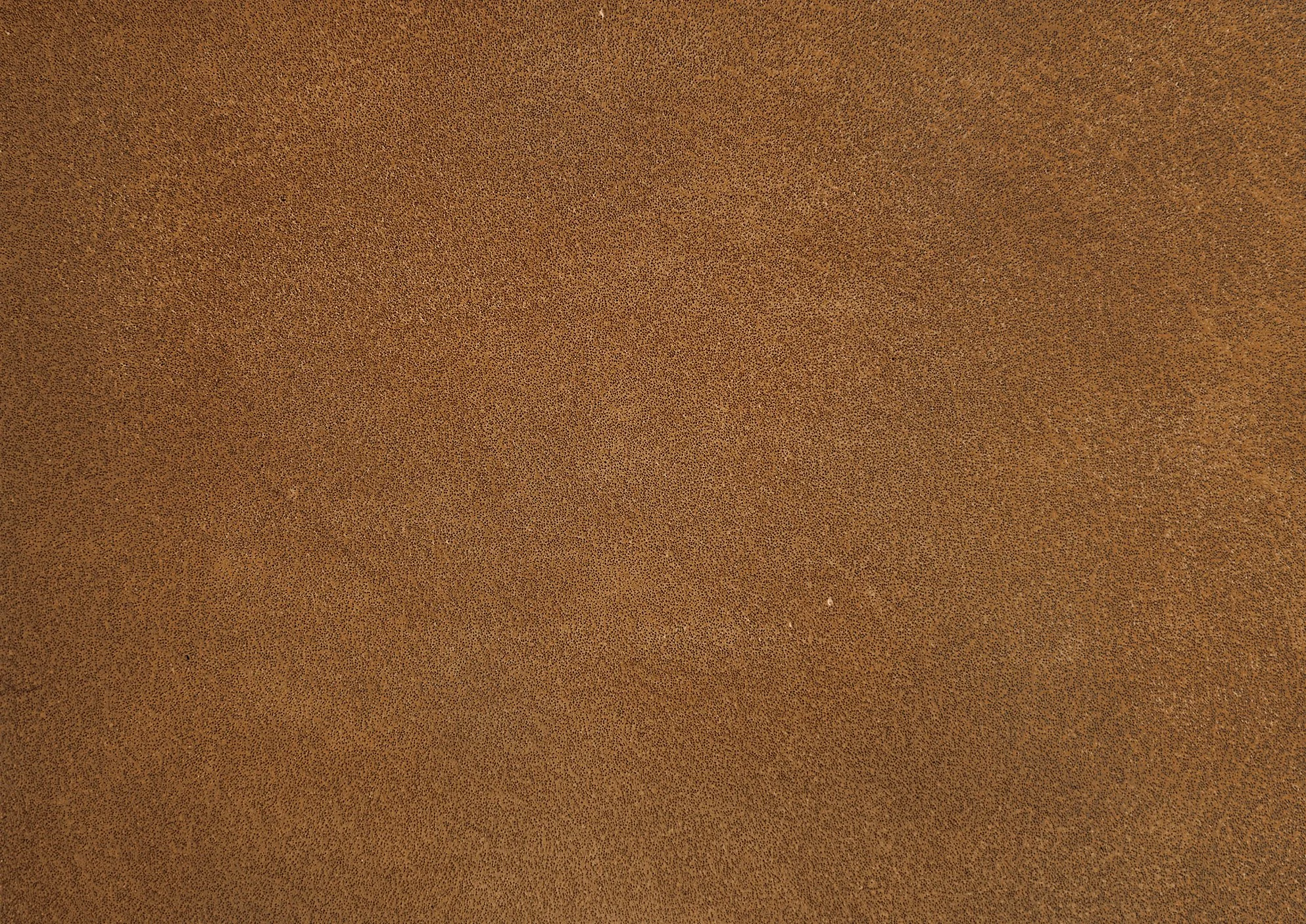 Caffe_Standardjpg.jpg (Copy)