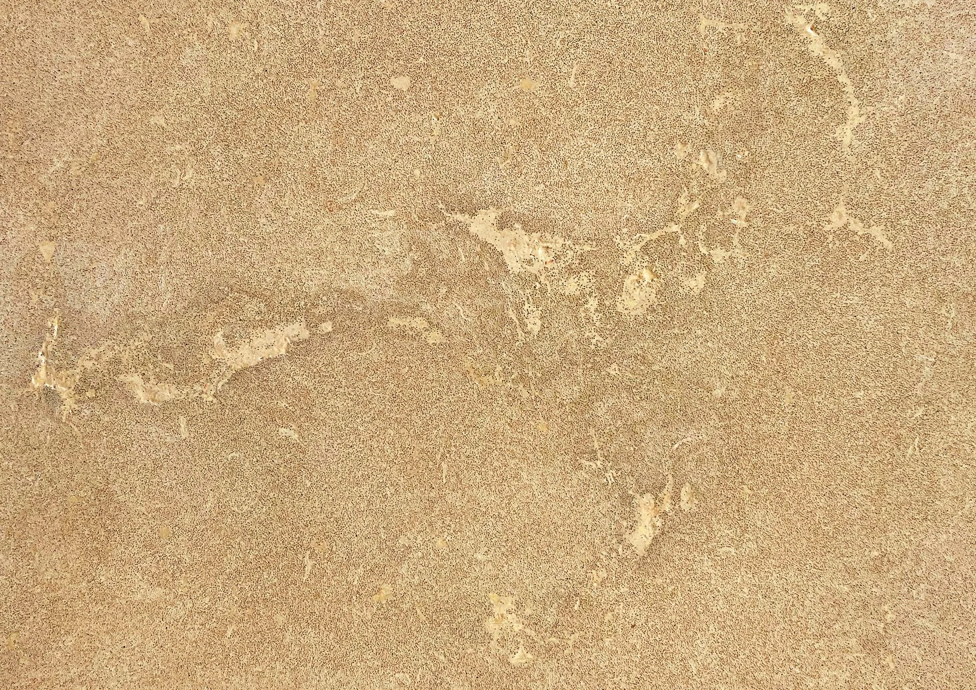 Dune_Antique.jpg