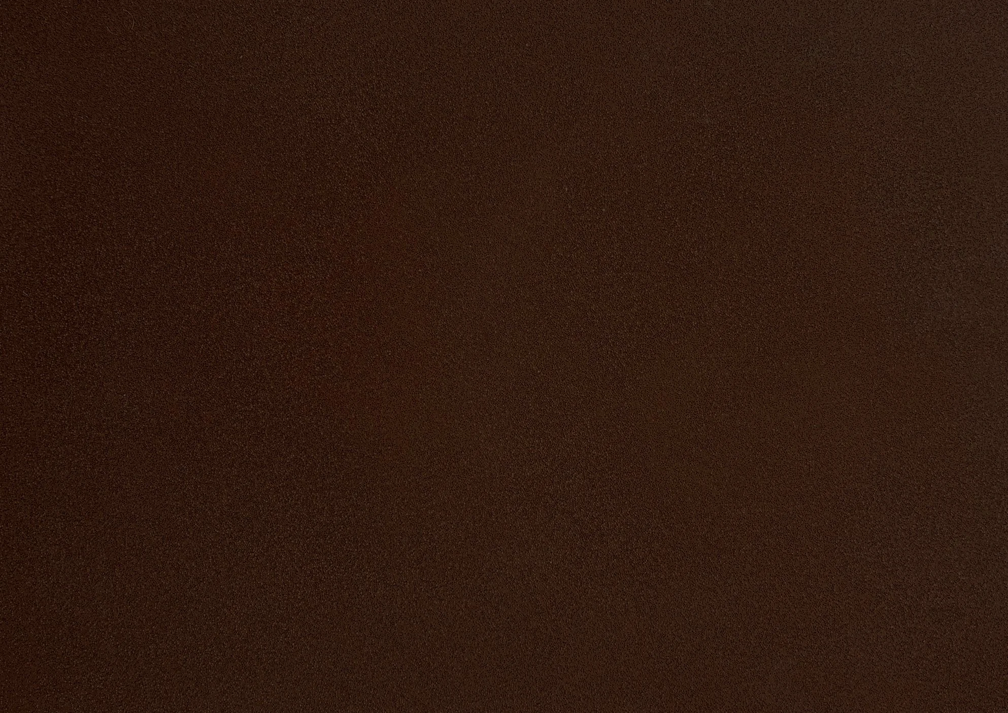 Espresso_Standard.jpg