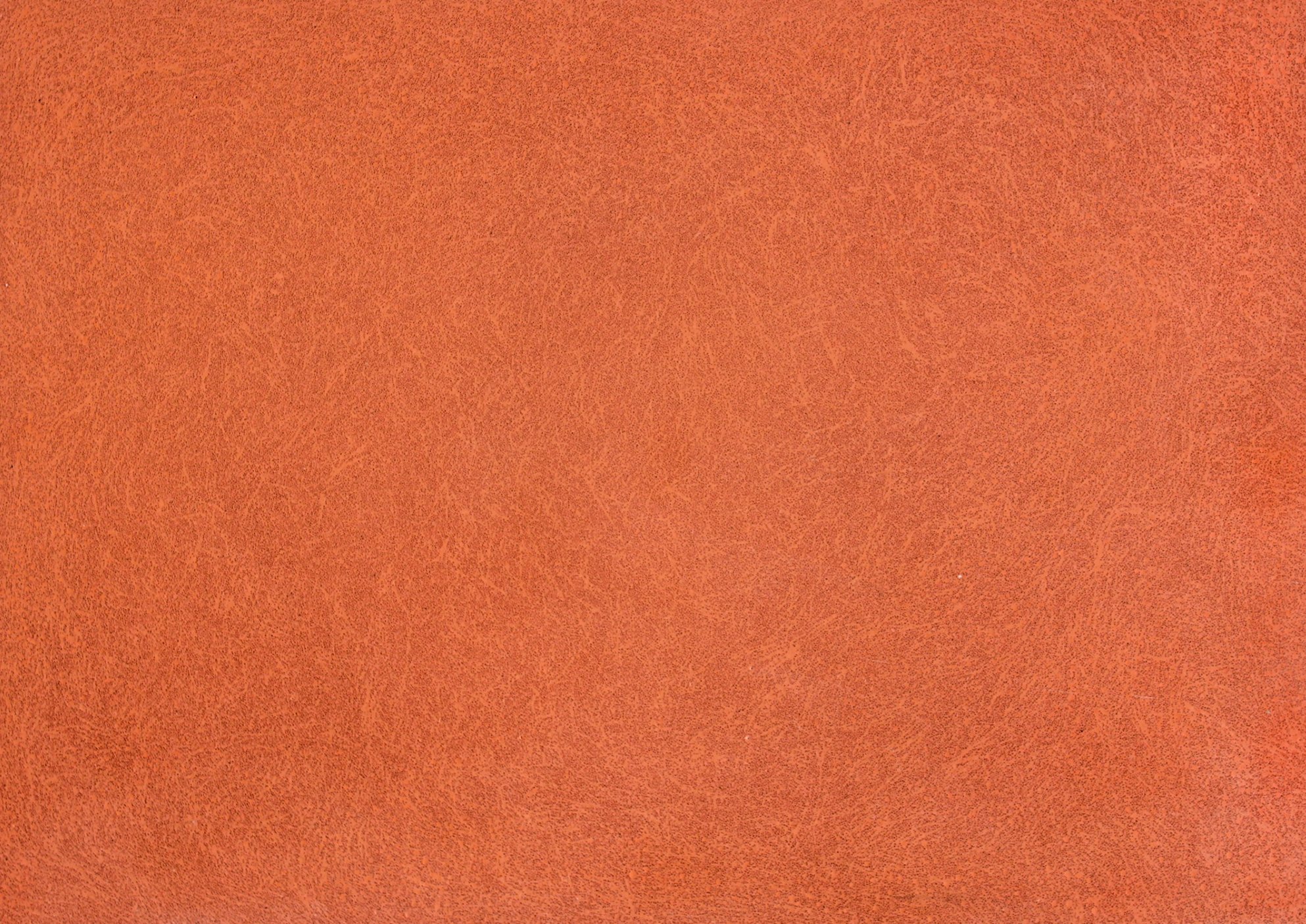 Mango_Standard.jpg (Copy)