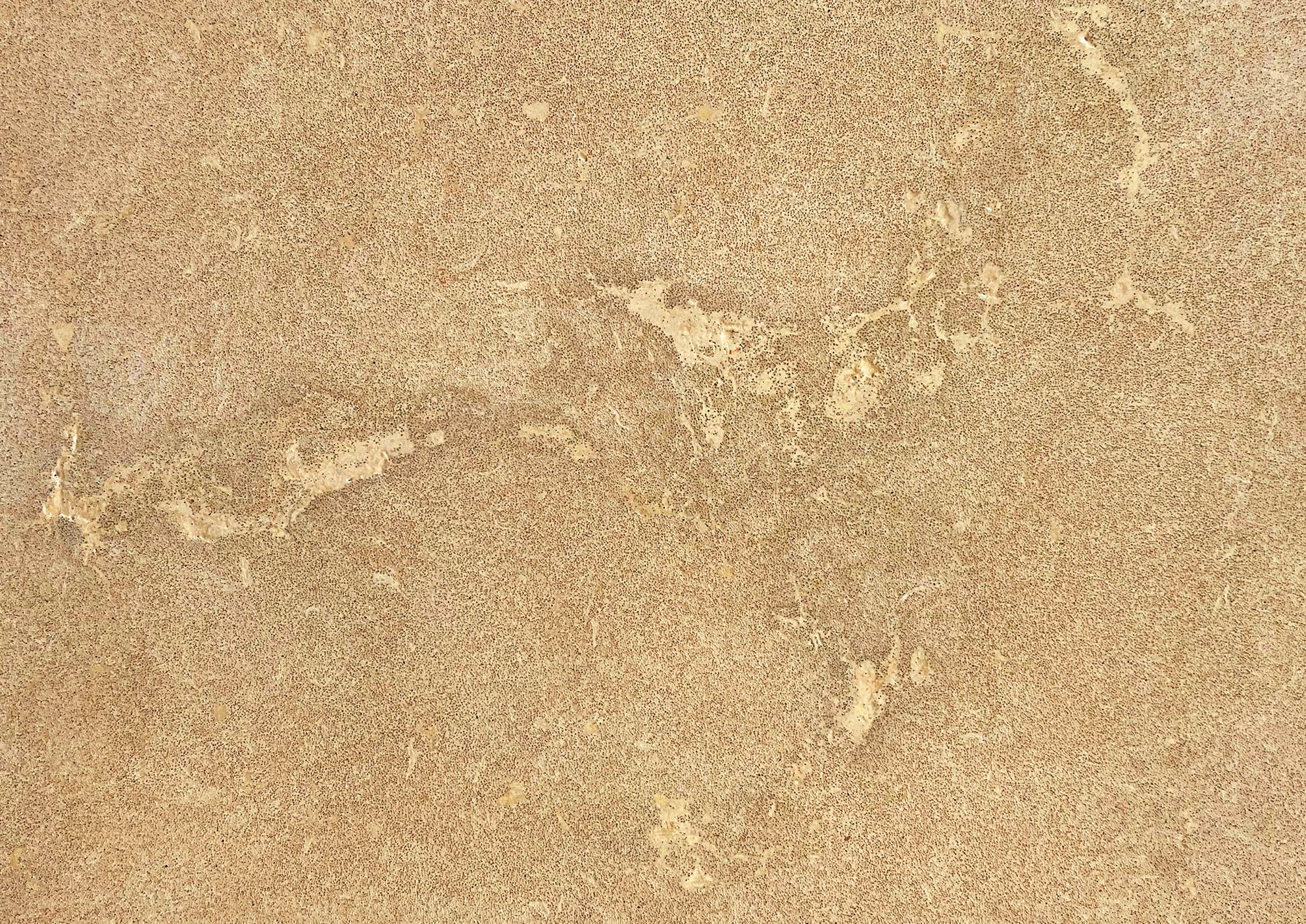 Dune_Antique.jpg