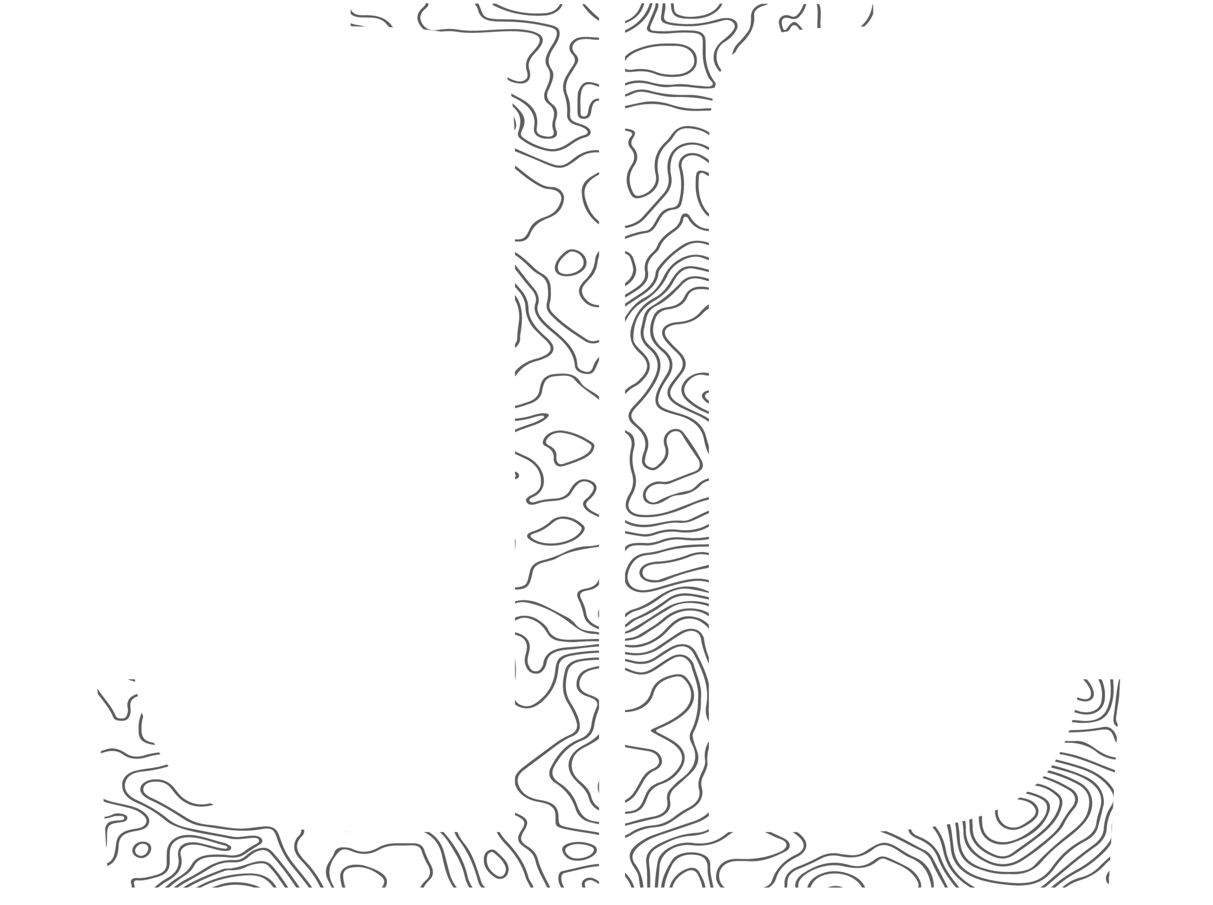 Topographic Map Pattern.png