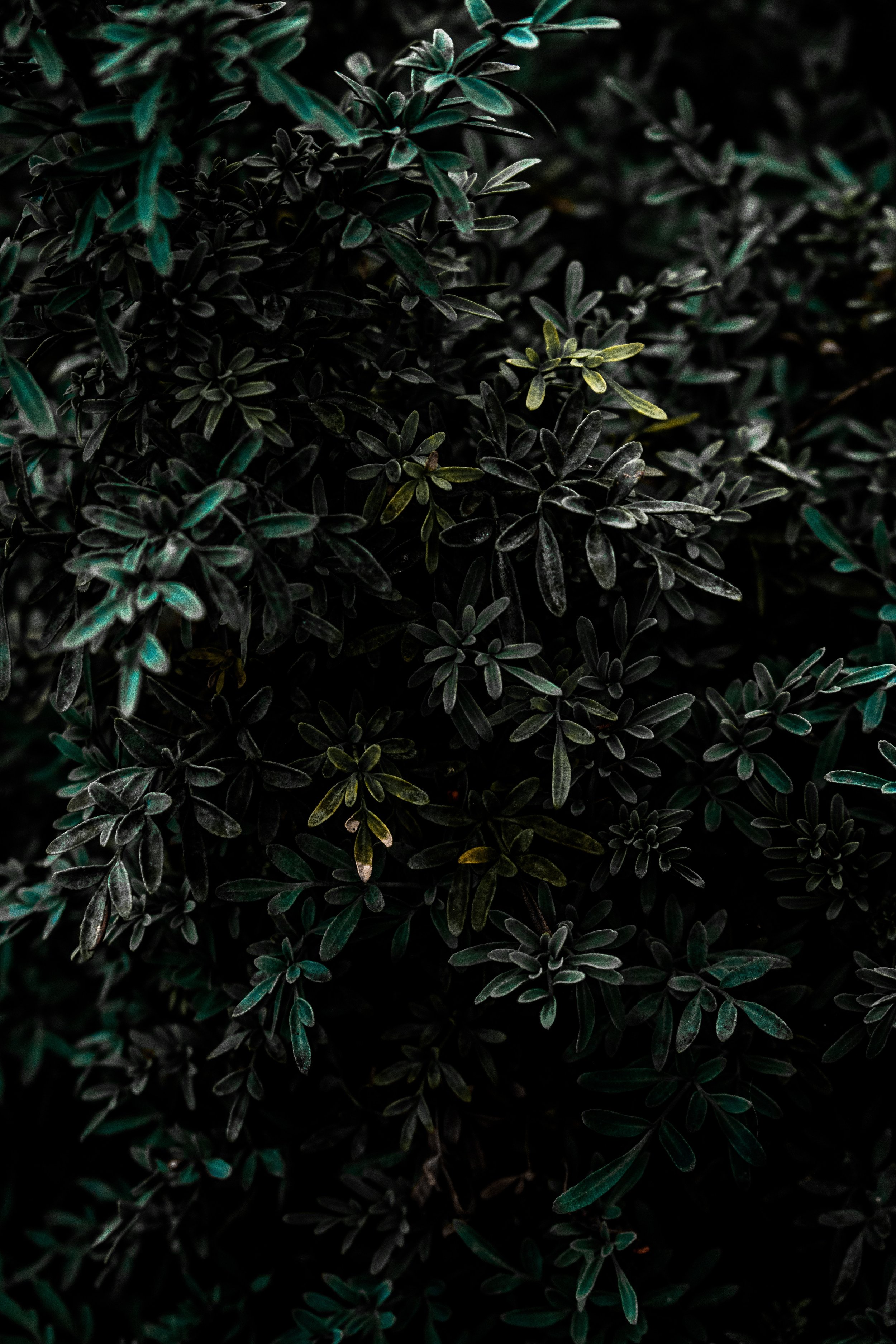 juan-camilo-navia-719337-unsplash.jpg