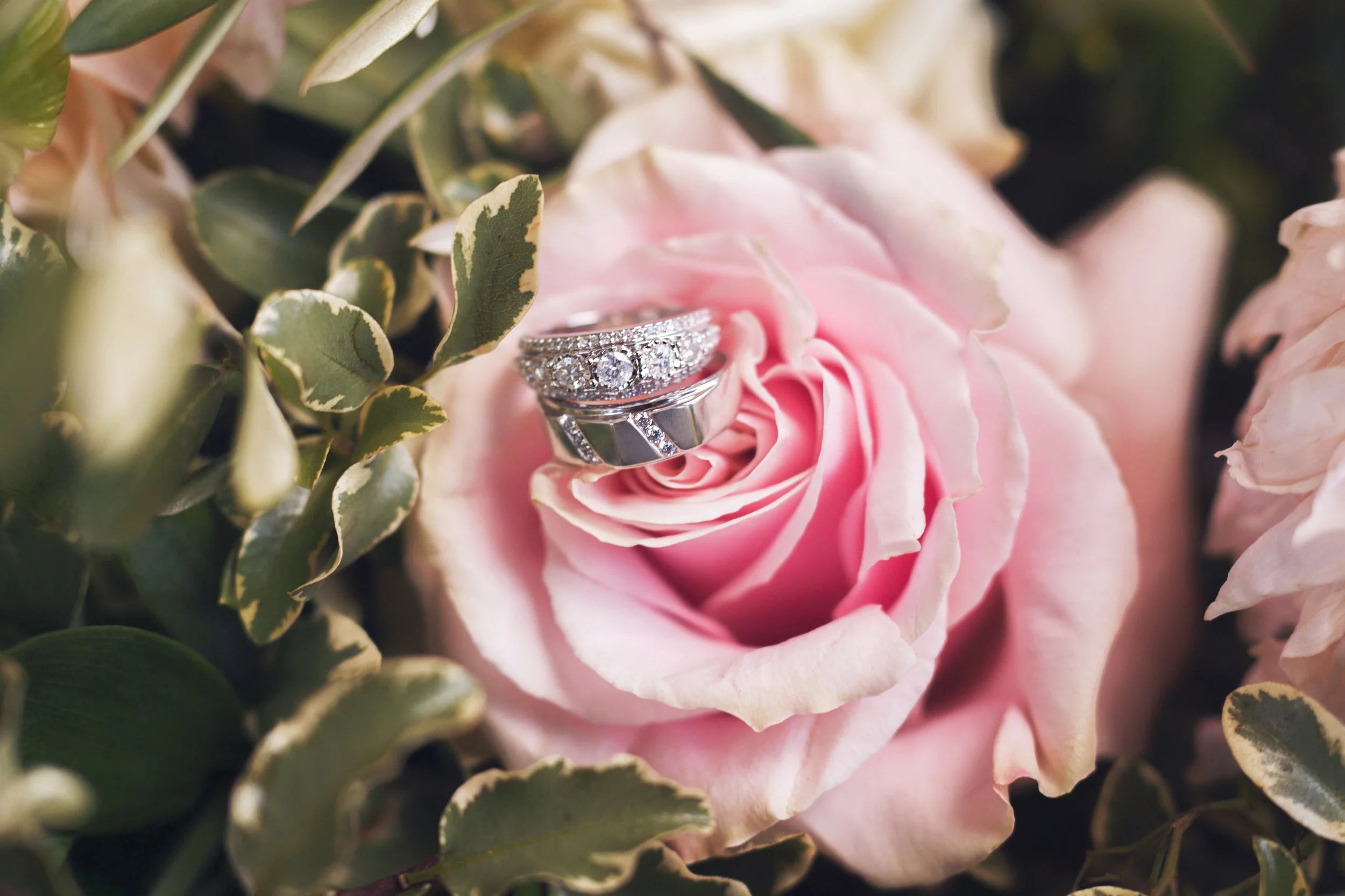 ZZ_SMITH_WEDDING_01.jpg