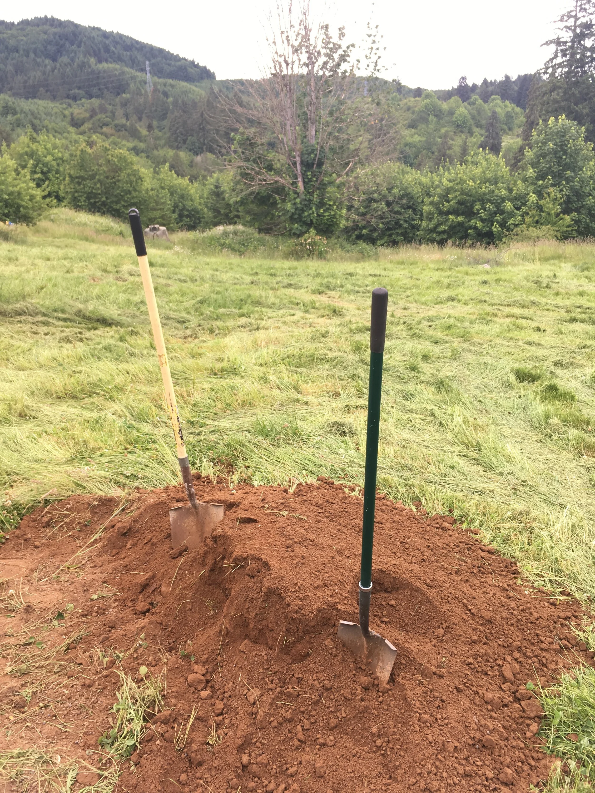 Music videos are fun... aka... memories from Let's Go Out Tonight...