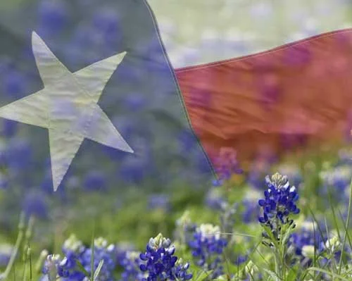 TexasBluebonnetsFlag.jpg