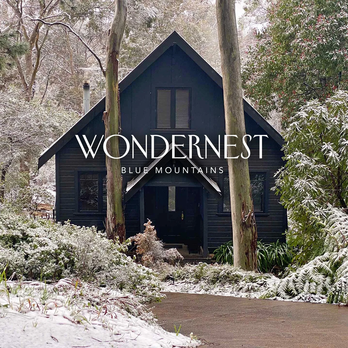 Wondernest logo.jpg